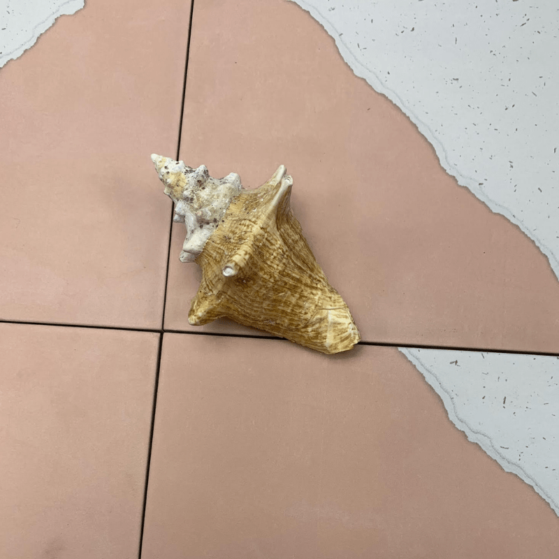 What Type Of Tile To Choose For Kitchen And Bathroom Renovation Projects? - Cemento Collection