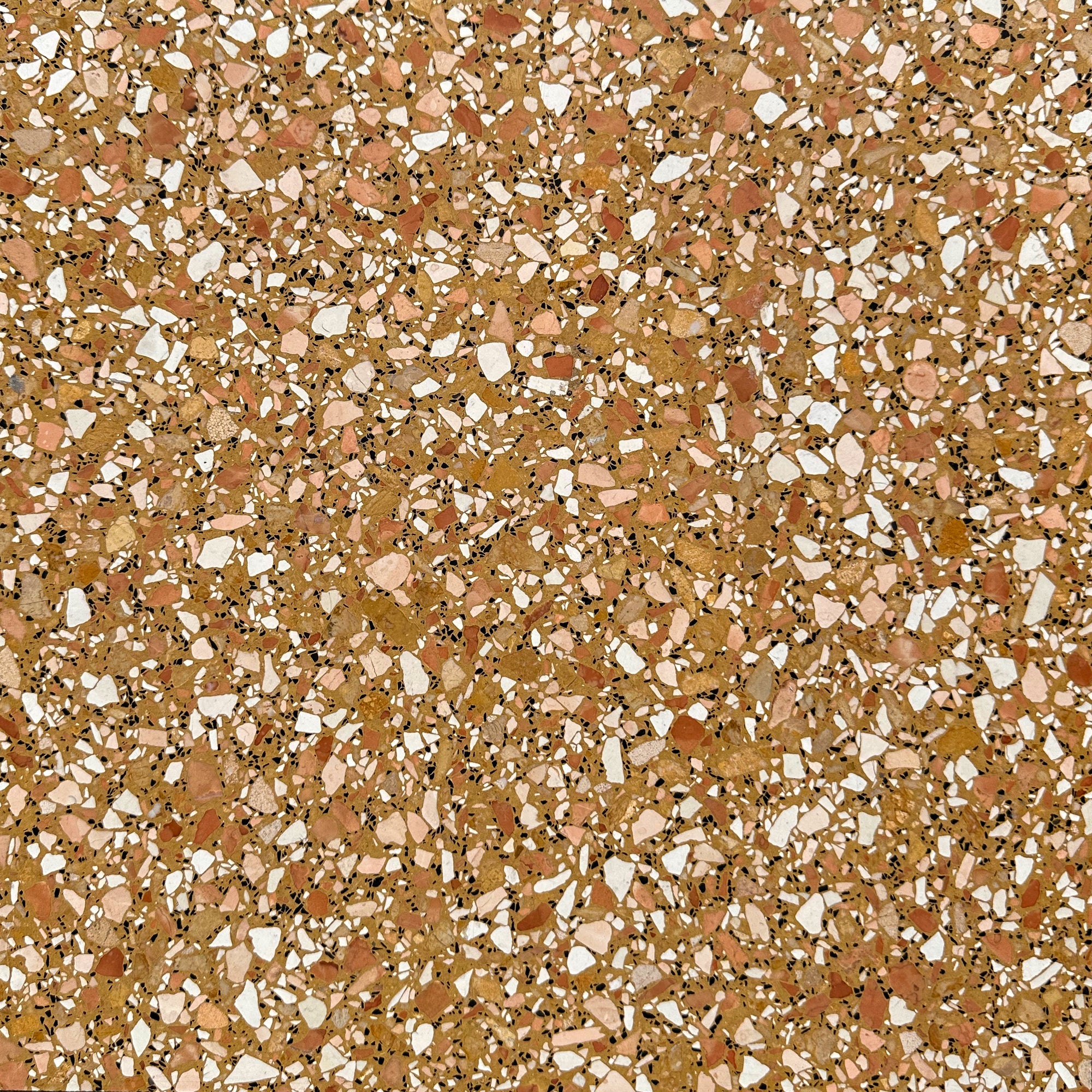 Budelli Cognac 16x16 Terrazzo Tile