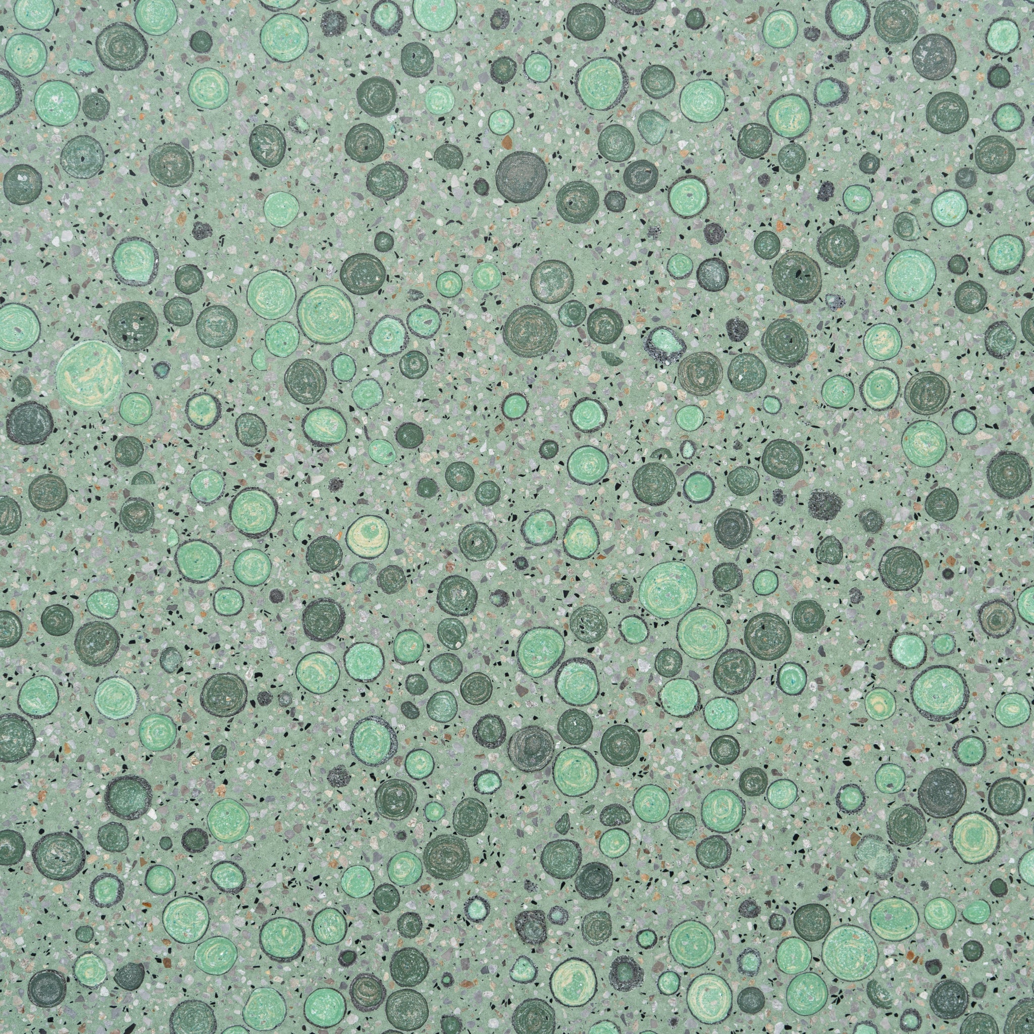 Green Bubble Terrazzo Slab - Cemento Collection
