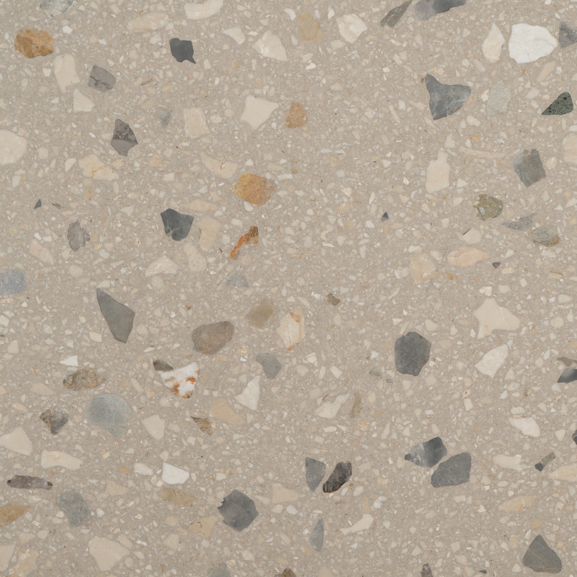 Giglio Terrazzo Tile