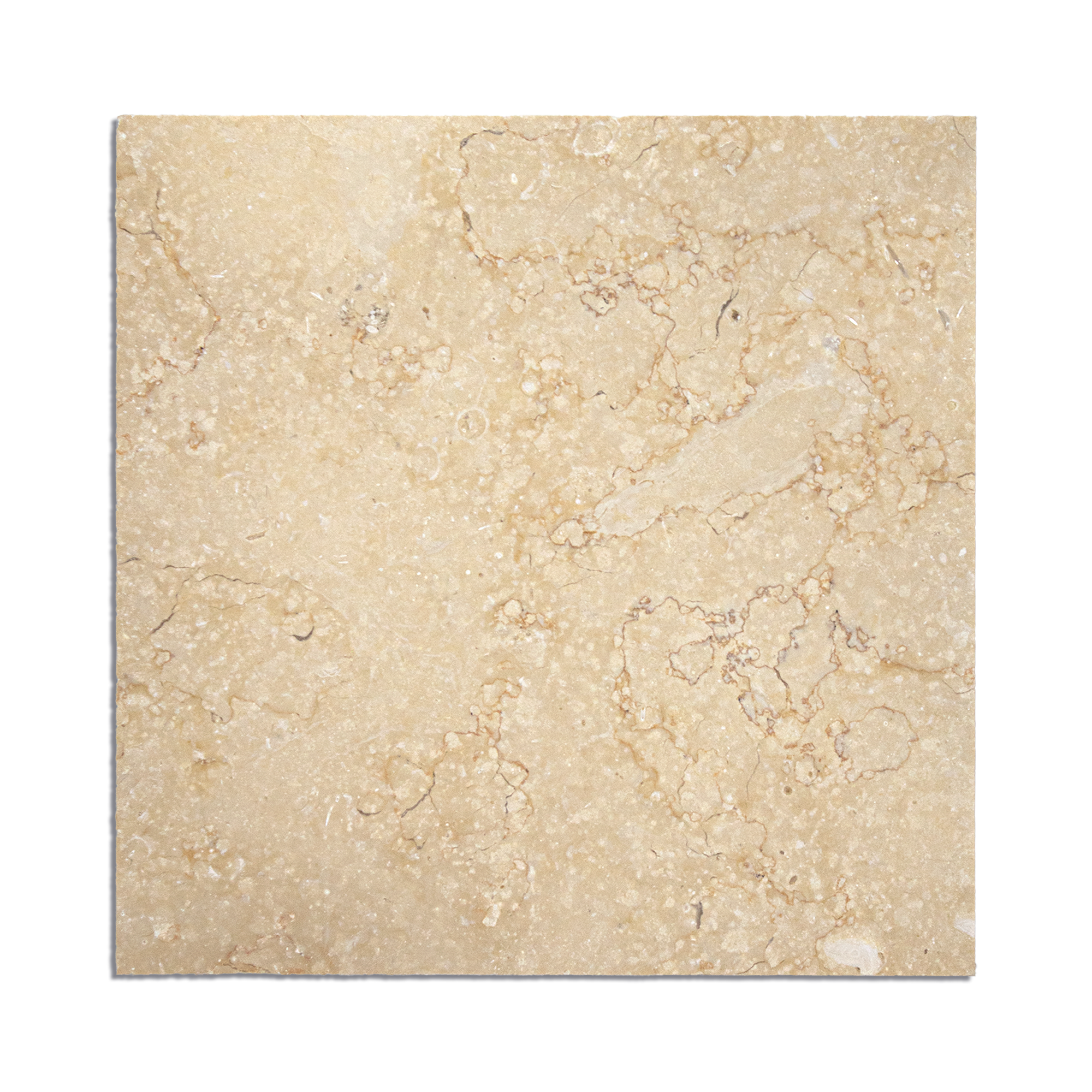 Limestone 12x12 Cream Honed Tile