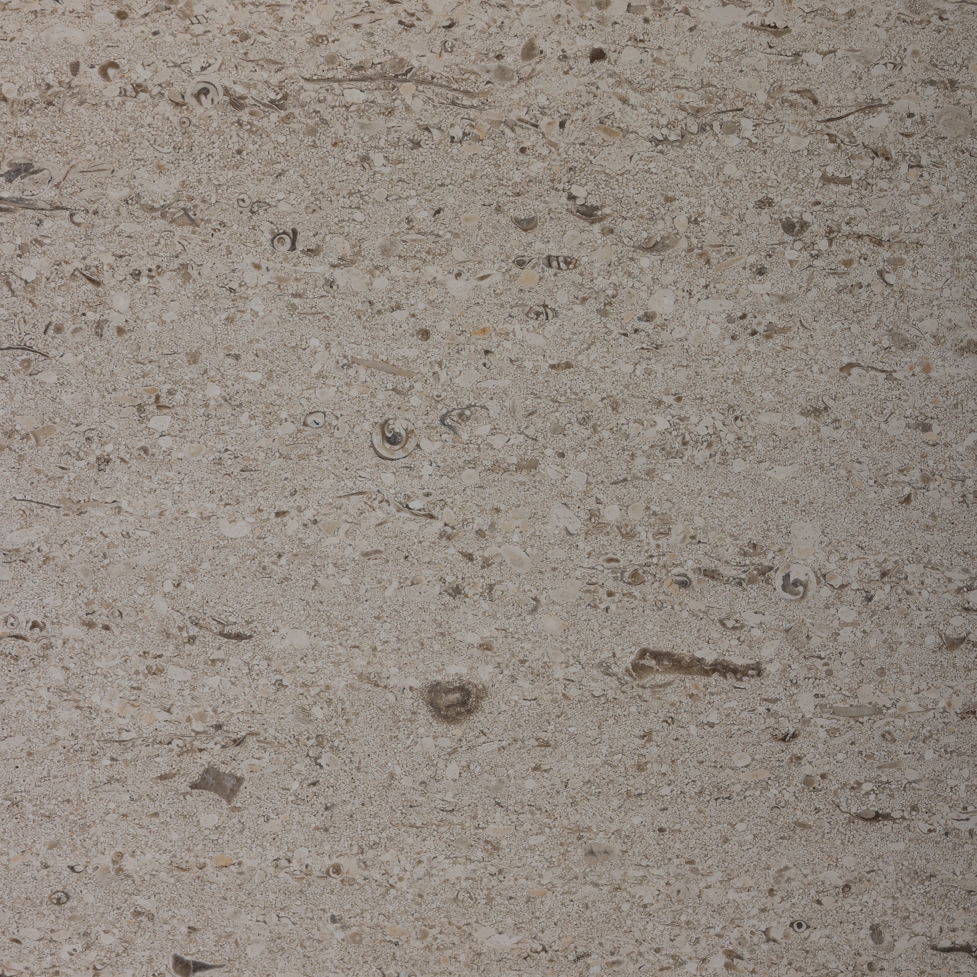 Salema Creme Limestone 16x16 Brushed Tile