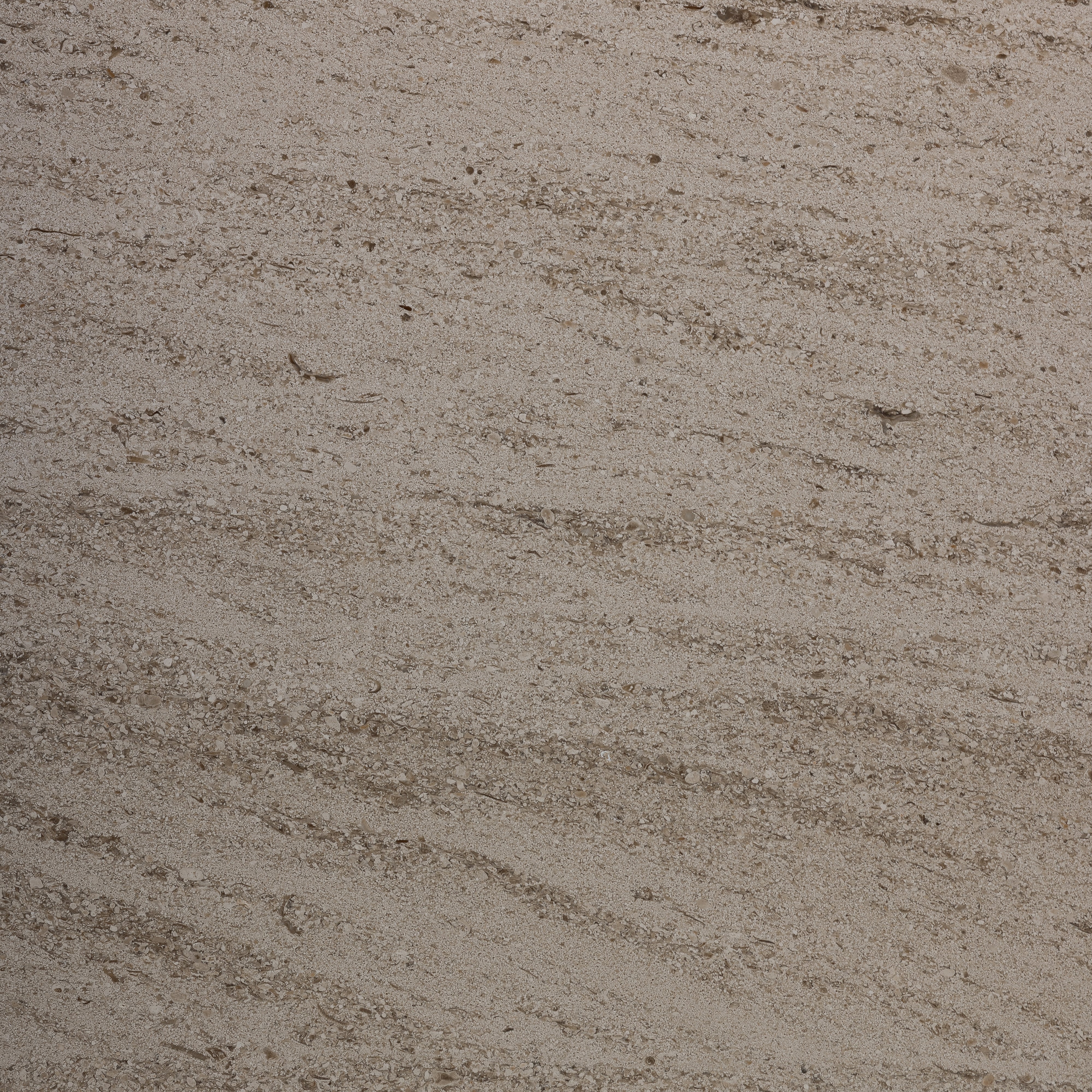 Salema Creme Limestone 16x16 Honed Tile