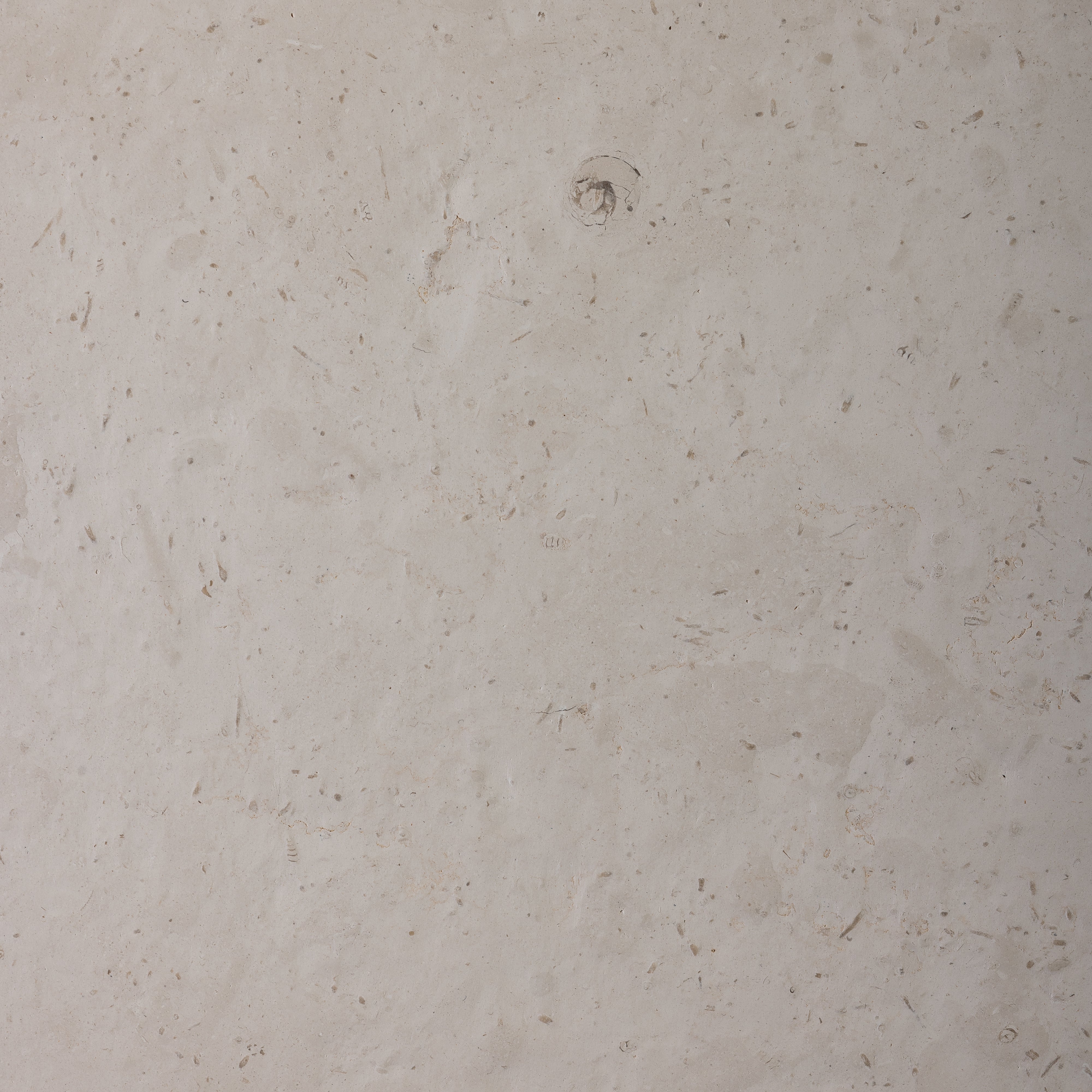 Amadora Beige Limestone 16x16 Sandblasted & Leathered Tile