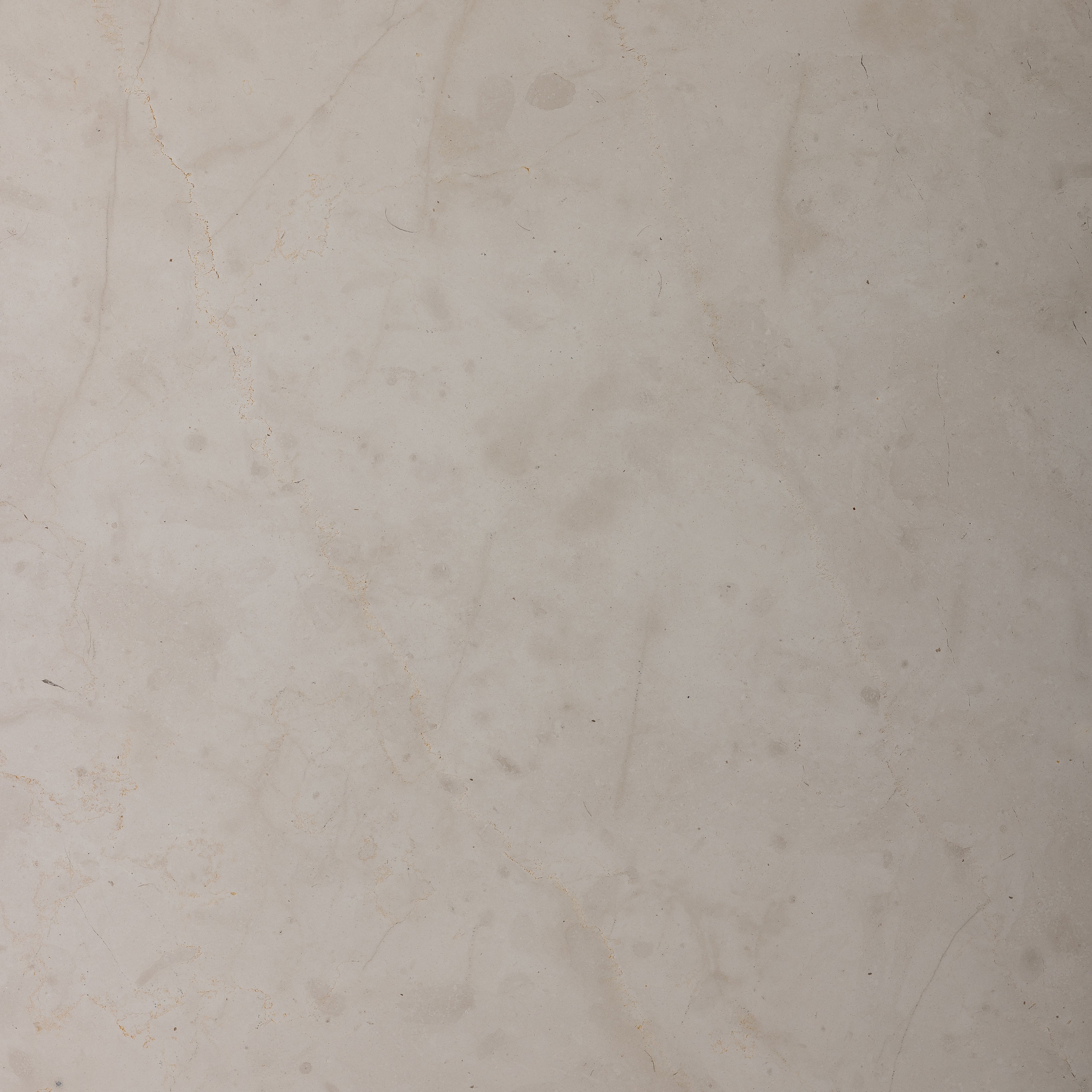 Amadora Beige Limestone 16x16 Silk Matte Tile