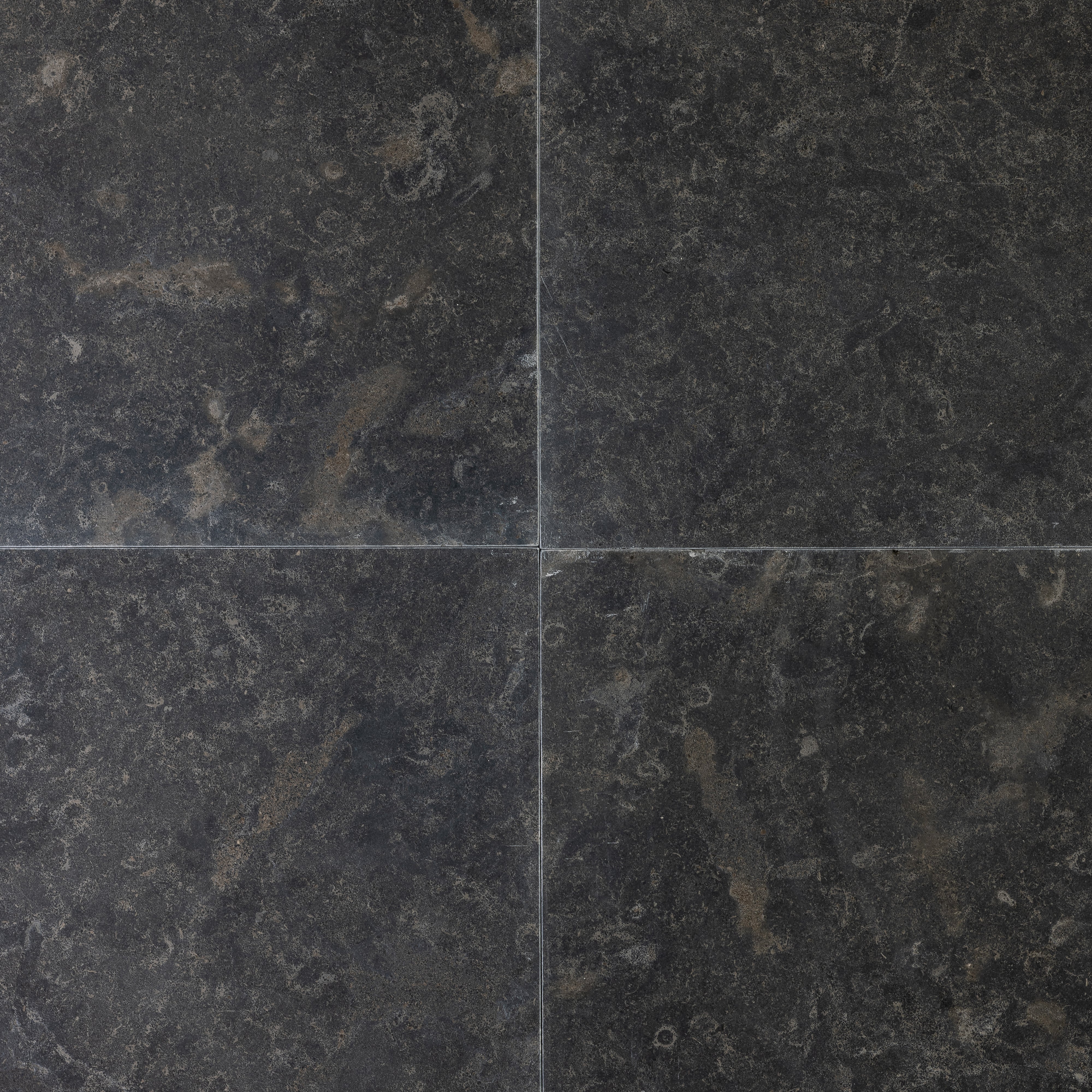 Lisbon Fossil Limestone 16x16 Leathered Tile