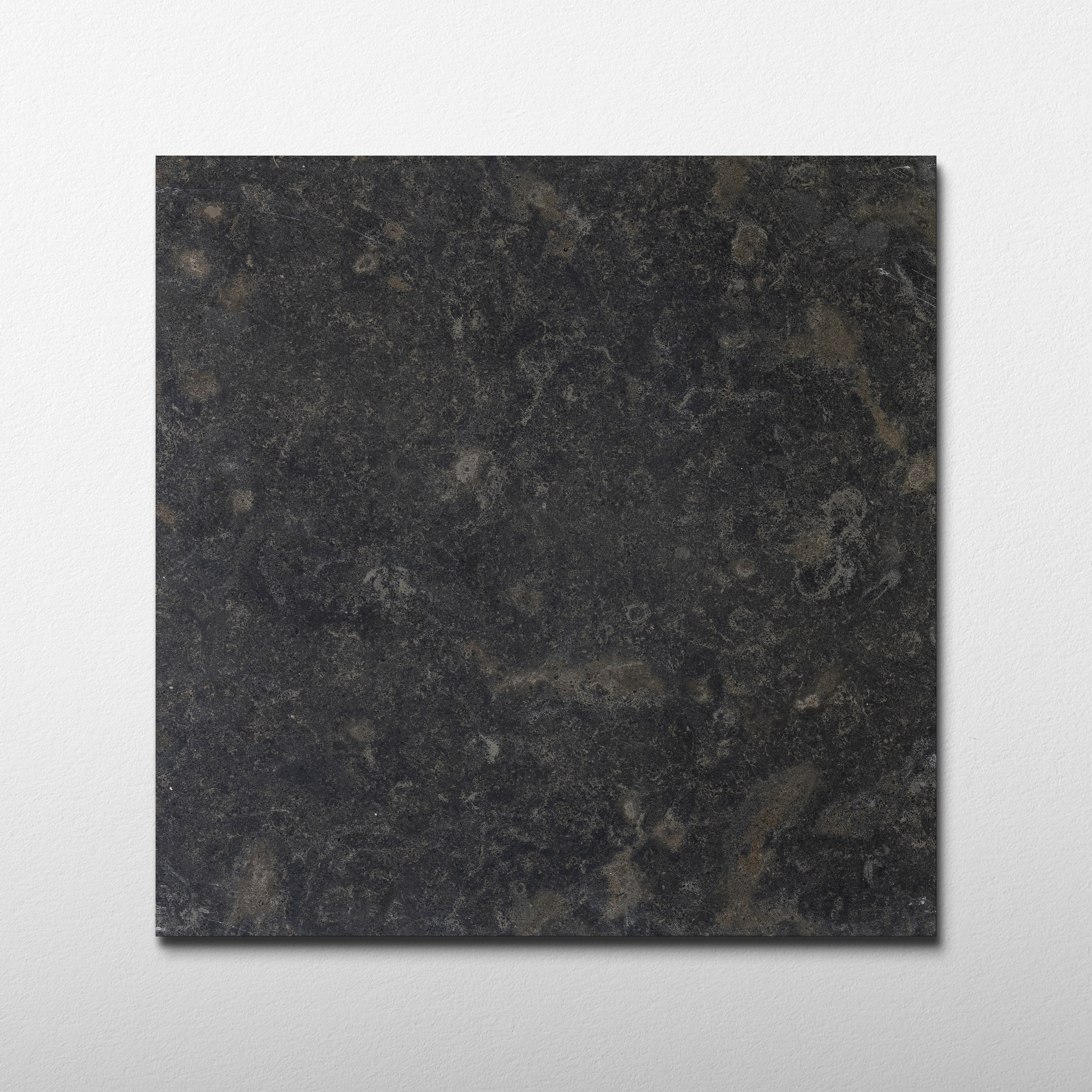Lisbon Fossil Limestone 16x16 Leathered Tile