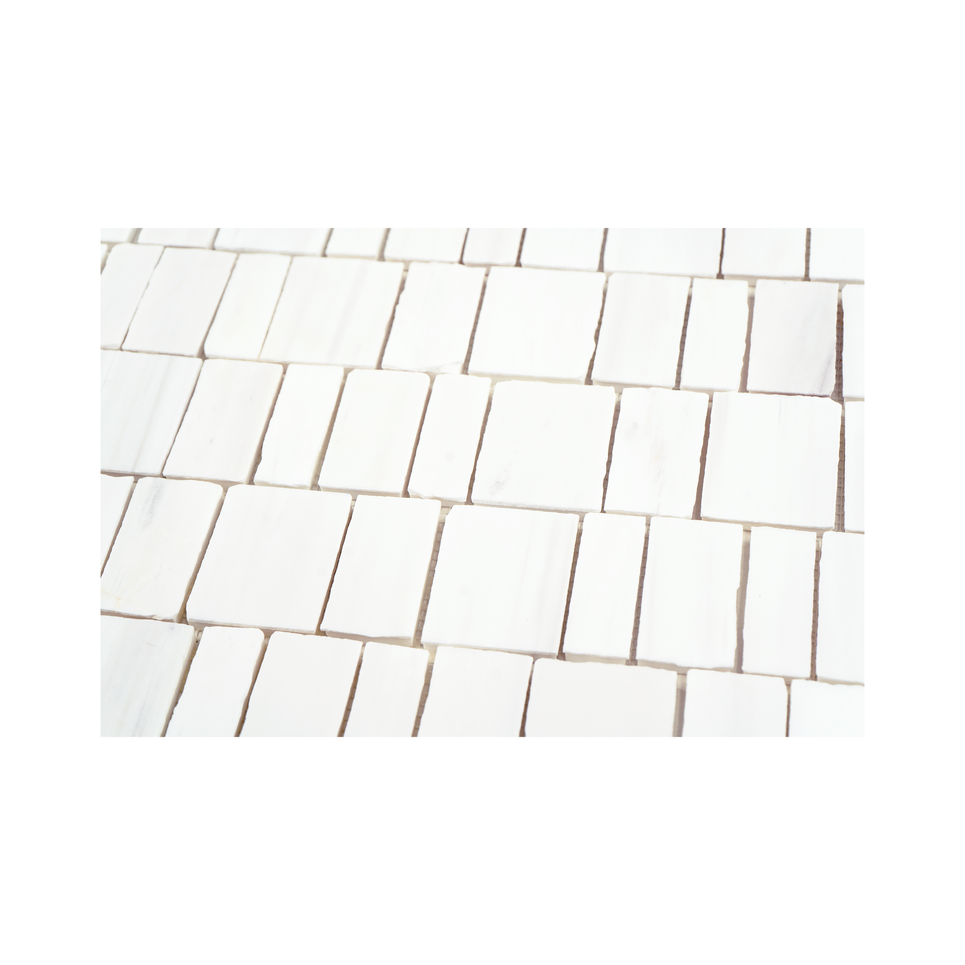 Scarpa Bianco Dolomite Marble Polished Mosaic Tile