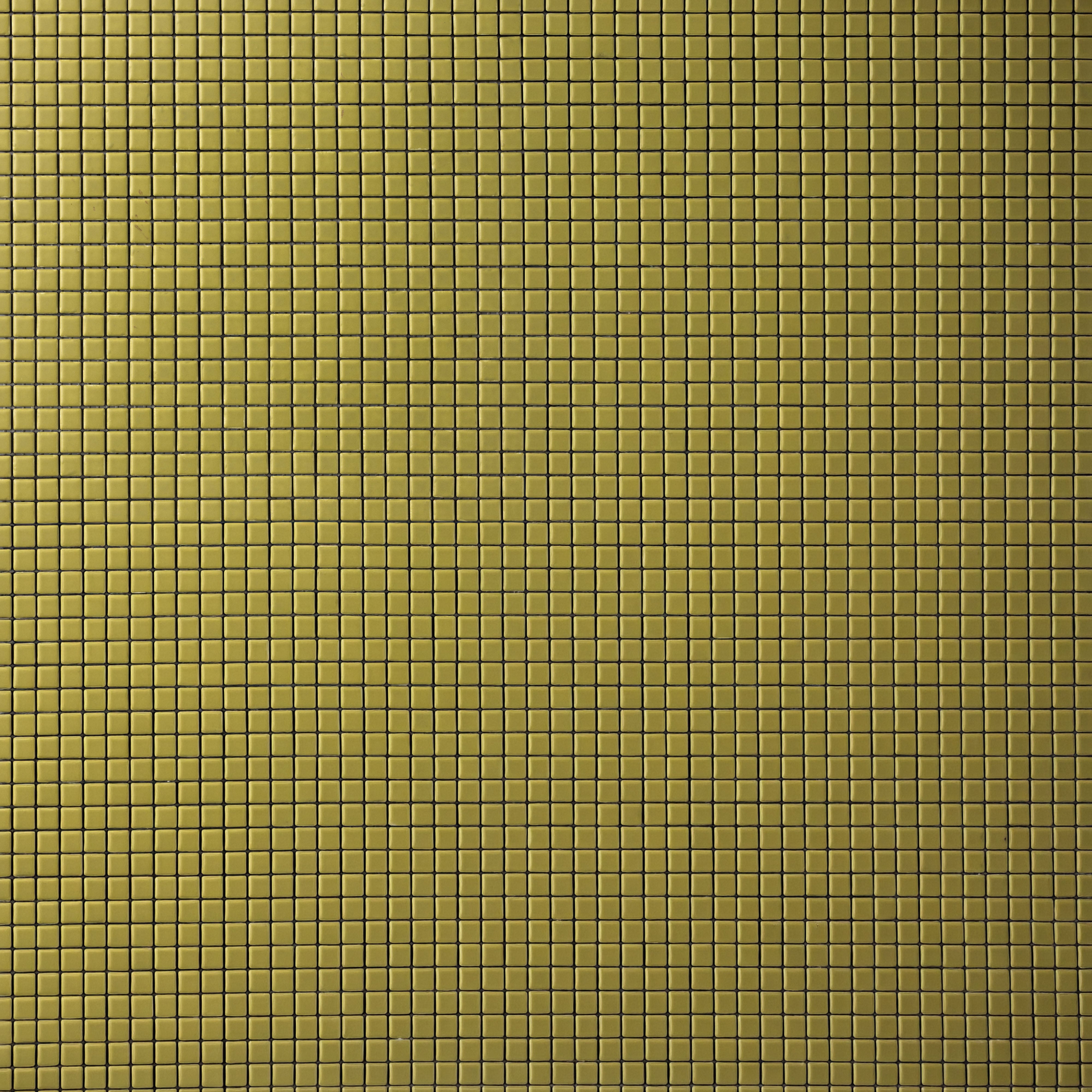 Chroma Pixel | Fennel Green 1/2x1/2" Square Matte Mosaic Tile