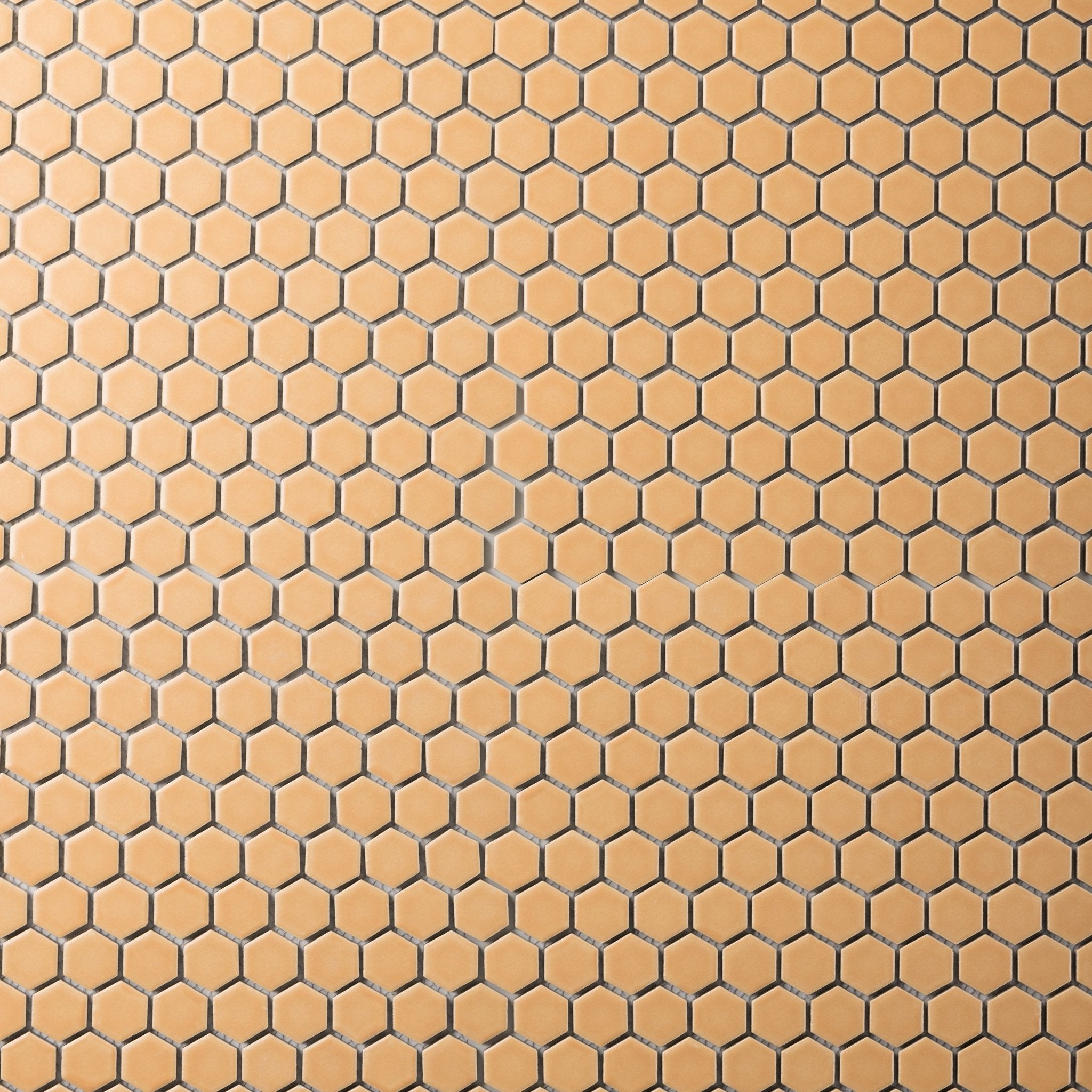 Apricot Orange 1" Hexagon Matte Porcelain Mosaic Tile - Cemento Collection
