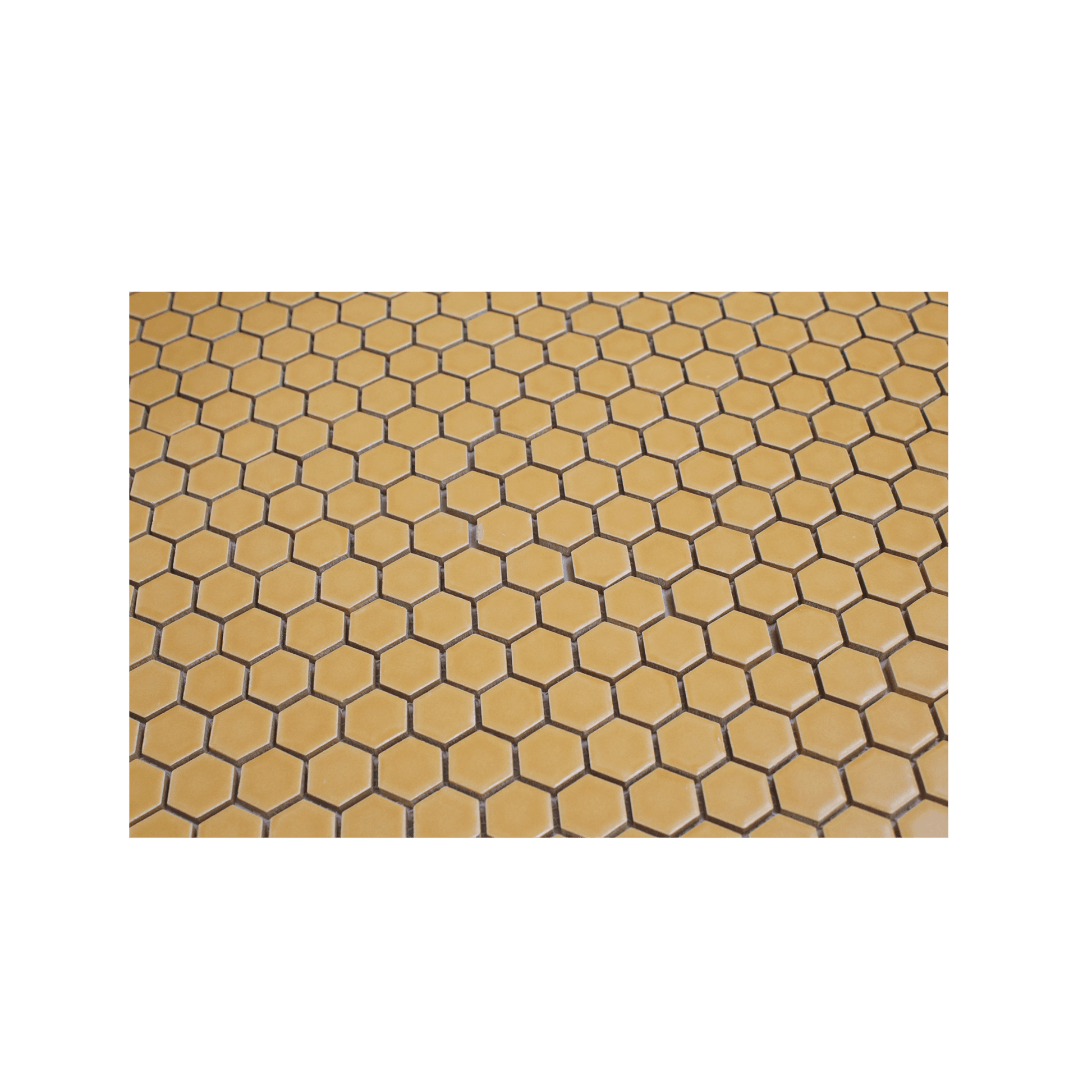 Apricot Orange 1" Hexagon Matte Porcelain Mosaic Tile - Cemento Collection