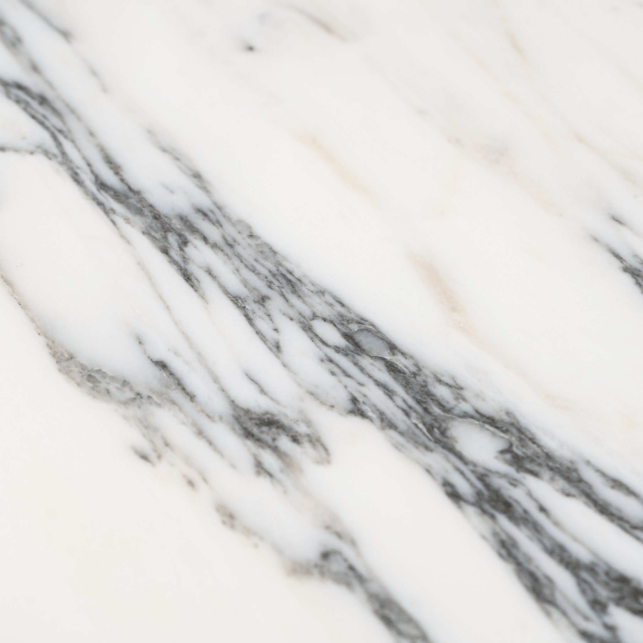 Arabescato Corchia 12x24 Polished Tile - Cemento Collection