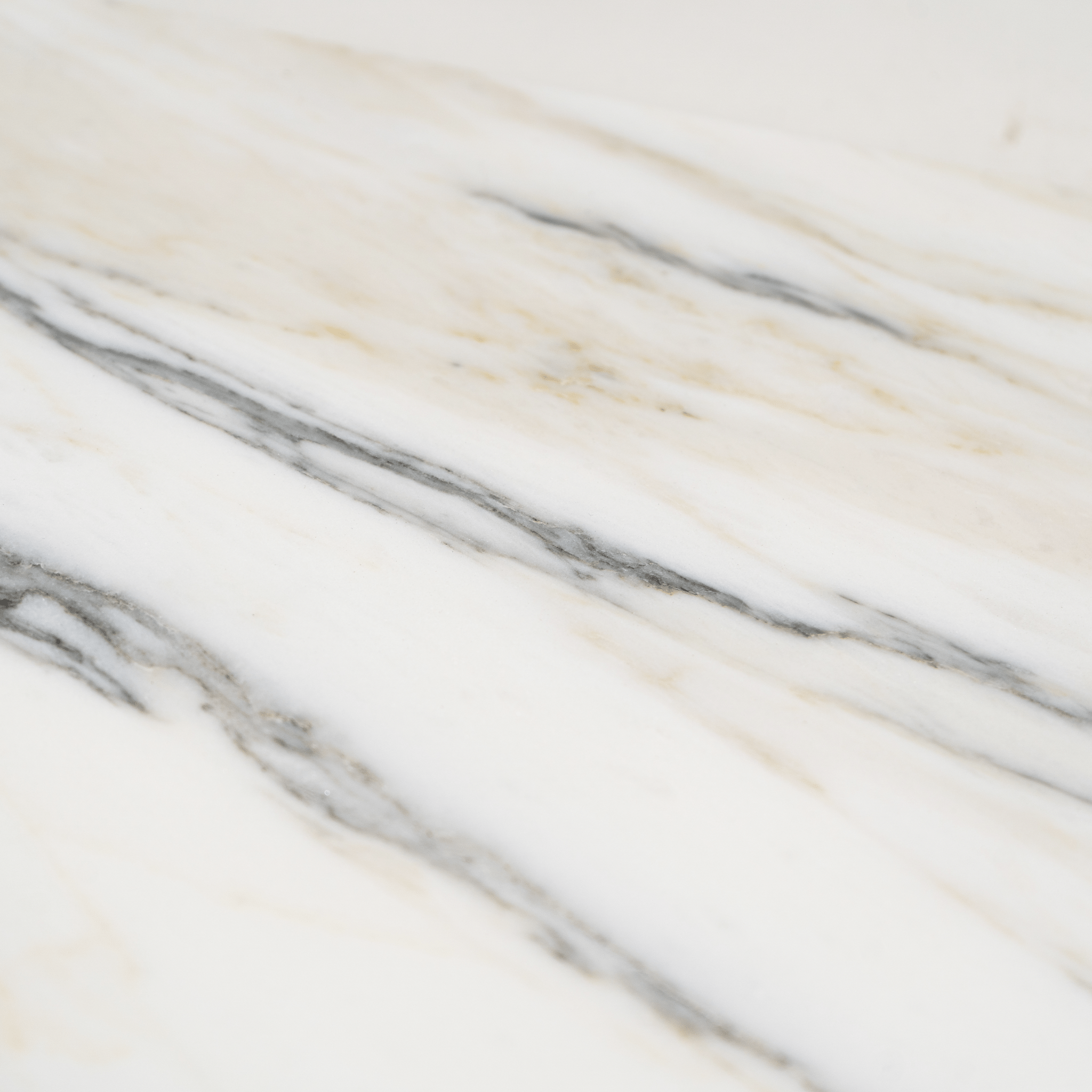 Arabescato Corchia 12x24 Polished Tile - Cemento Collection