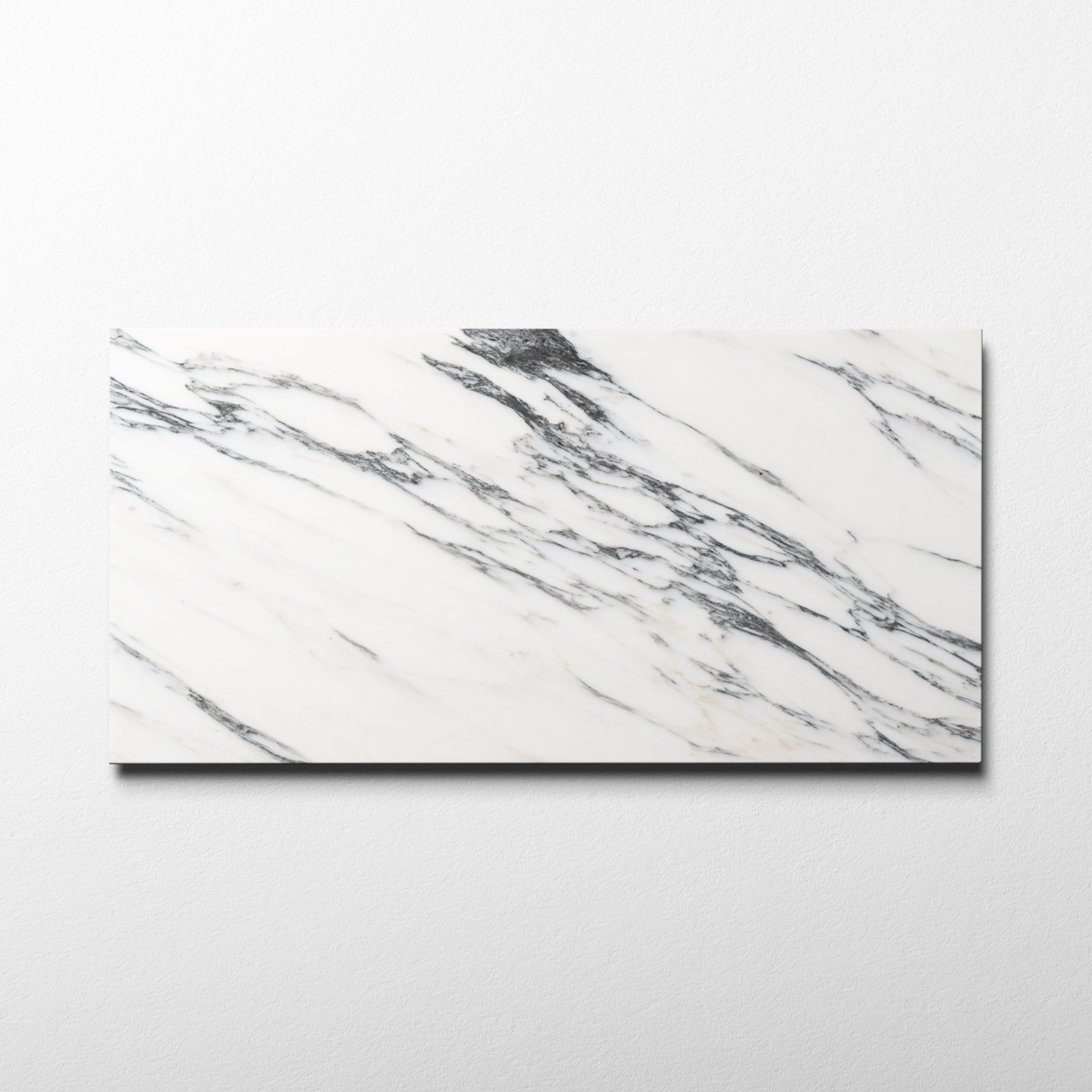 Arabescato Corchia 12x24 Polished Tile - Cemento Collection