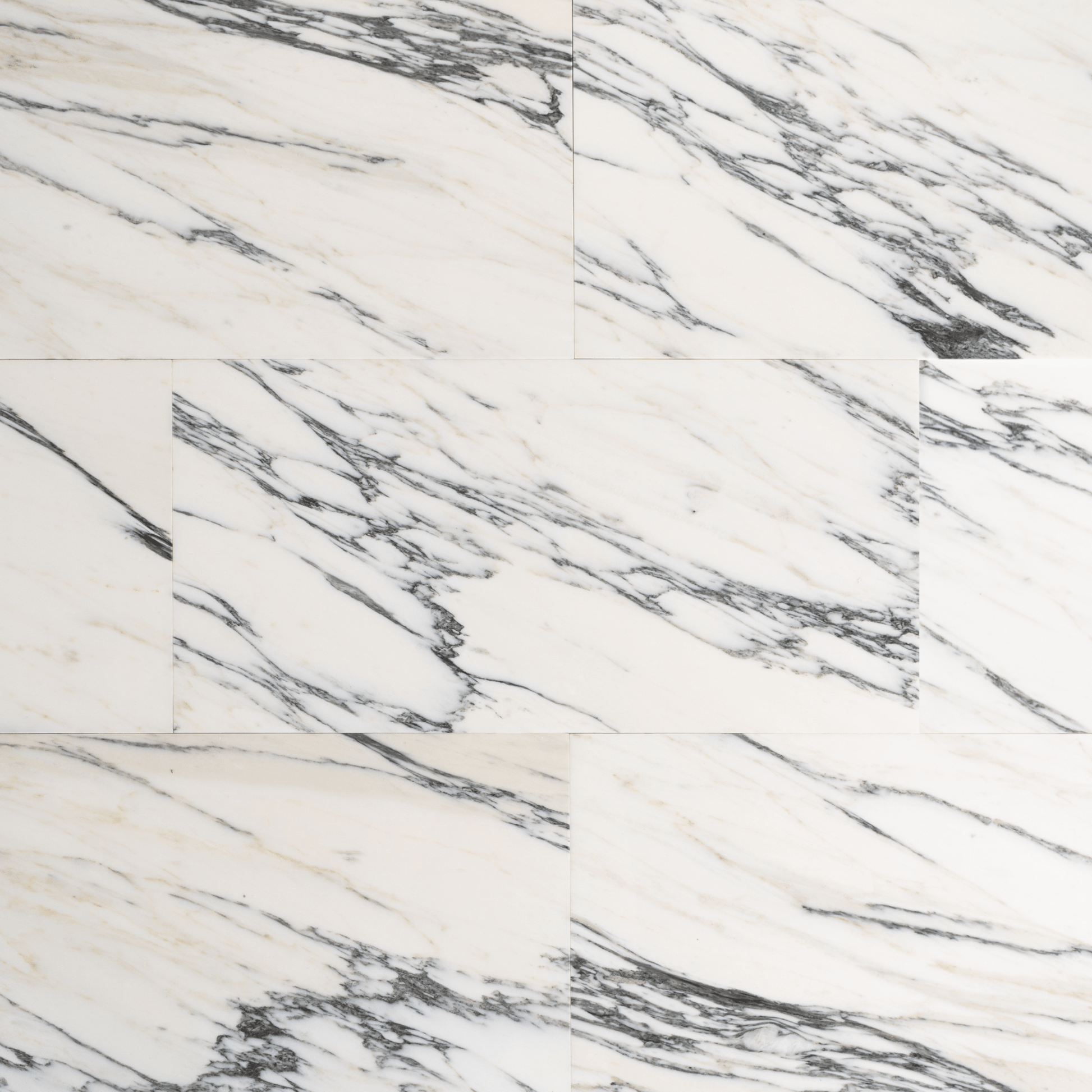 Arabescato Corchia 12x24 Polished Tile - Cemento Collection