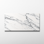 Arabescato Corchia 12x24 Polished Tile - Cemento Collection