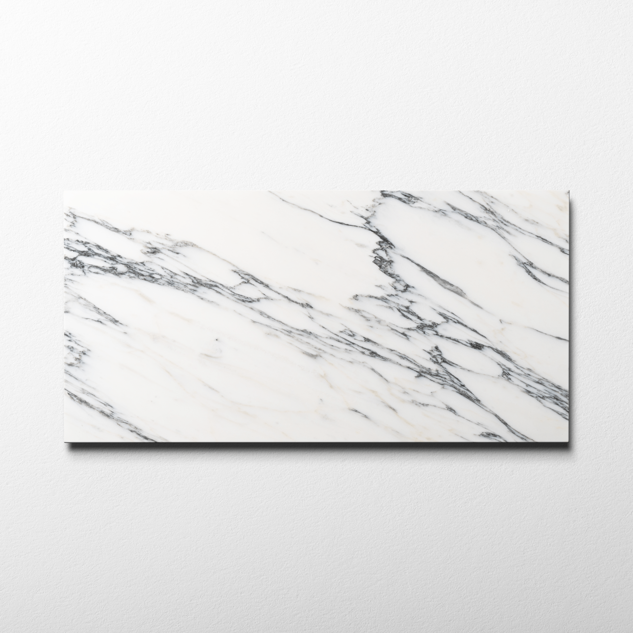 Arabescato Corchia 12x24 Polished Tile - Cemento Collection