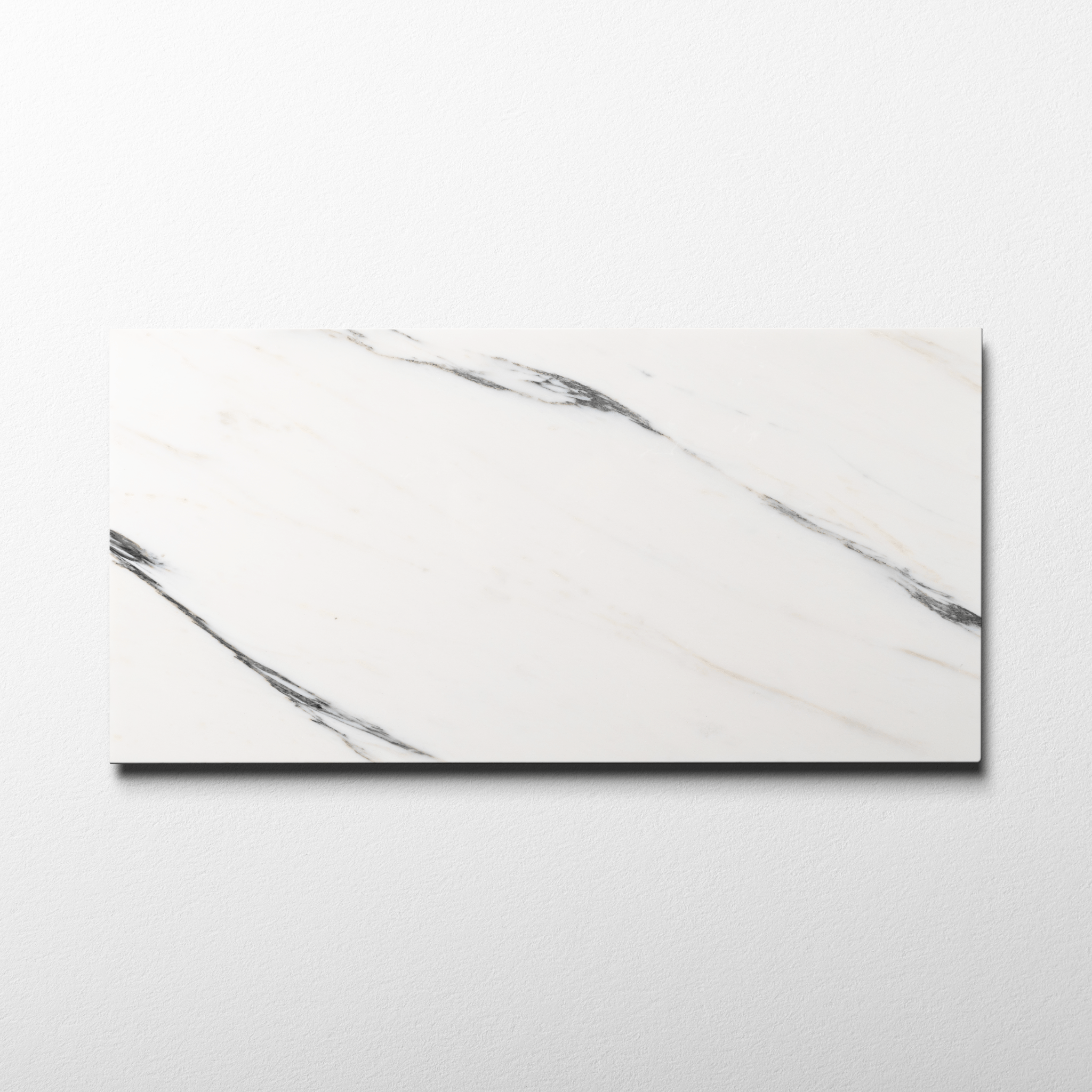 Arabescato Corchia 12x24 Polished Tile - Cemento Collection