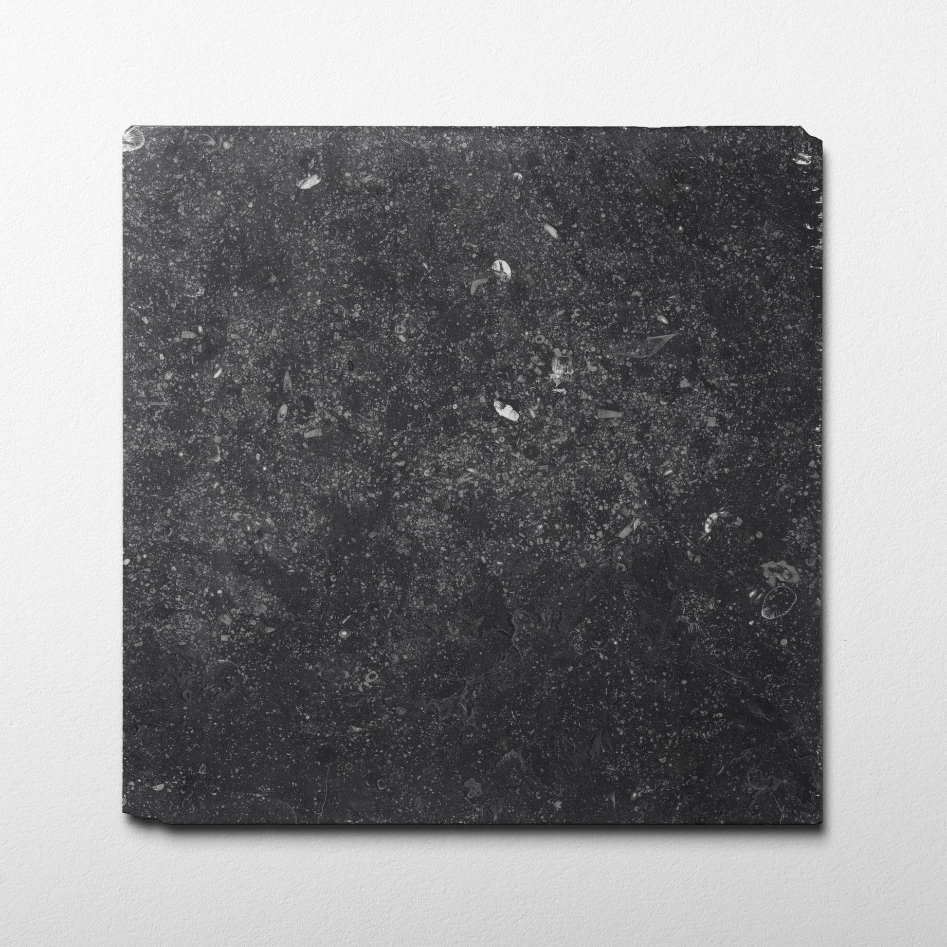 Belgian Bluestone 16x16 Patina Limestone Tile