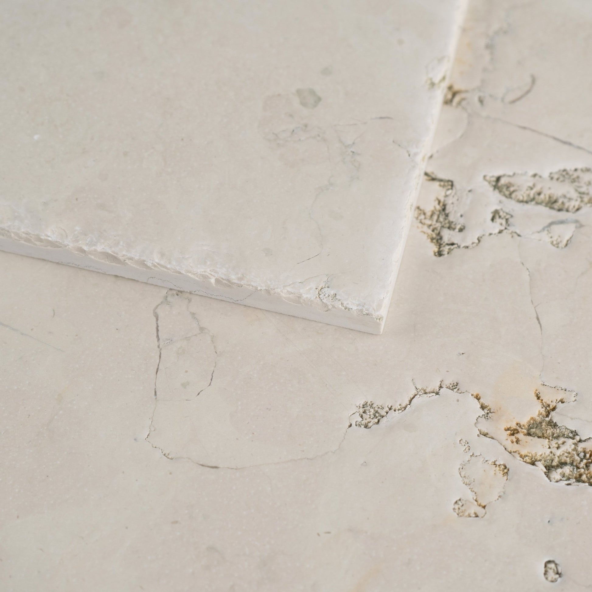 Bianco Perlino Marble 12x12 Patina Tile - Cemento Collection