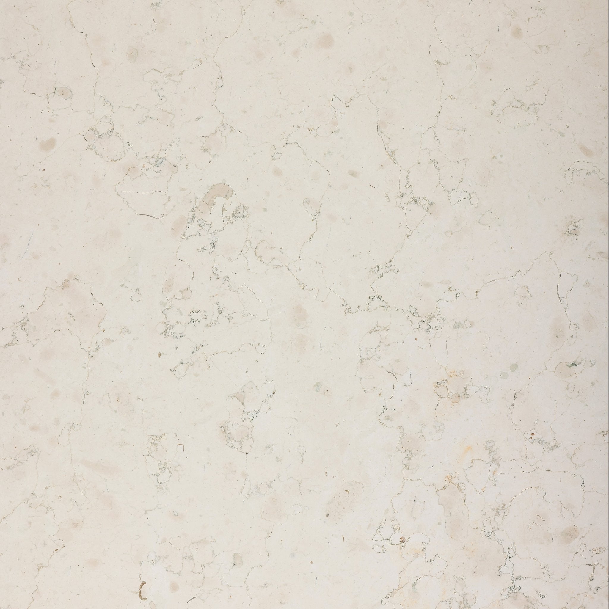 Bianco Perlino Marble Honed Slab - Cemento Collection