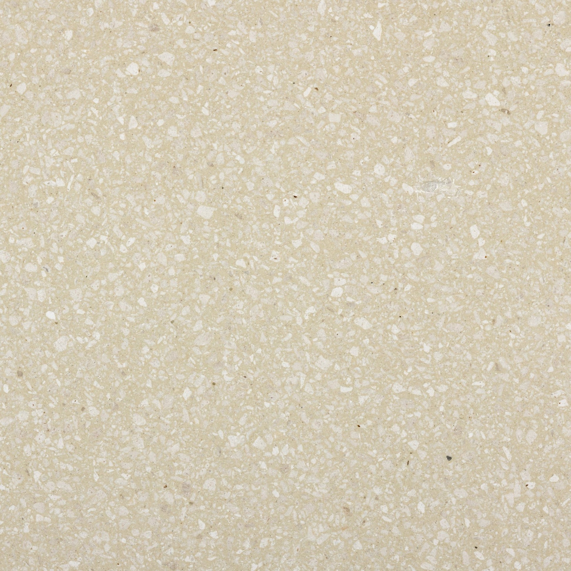 Bocca Barley Terrazzo Slab - Cemento Collection