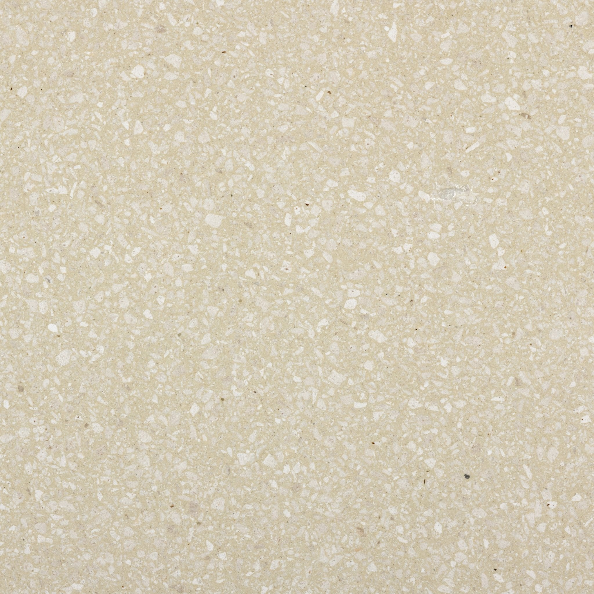 Bocca Barley Terrazzo Slab - Cemento Collection