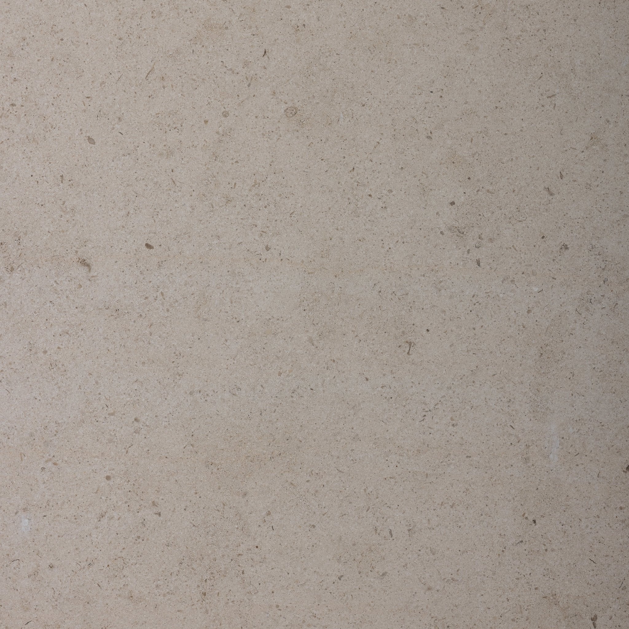 Braga Sand Limestone 16x16 Sandblasted & Brushed Tile - Cemento Collection