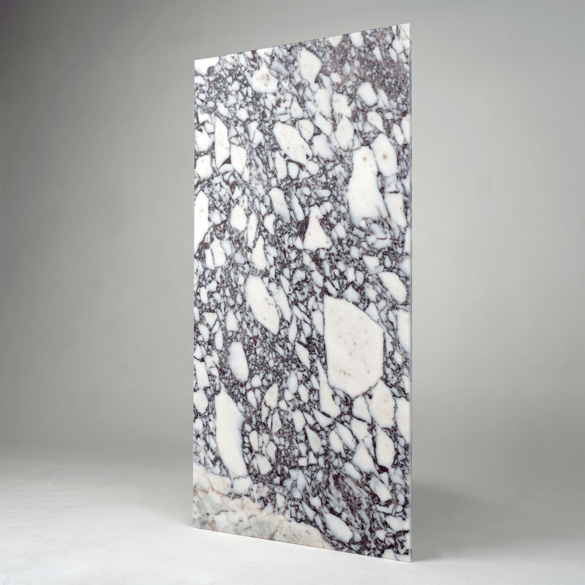 Breccia Viola Marble 12x24 Honed Field Tile | Cemento Collection