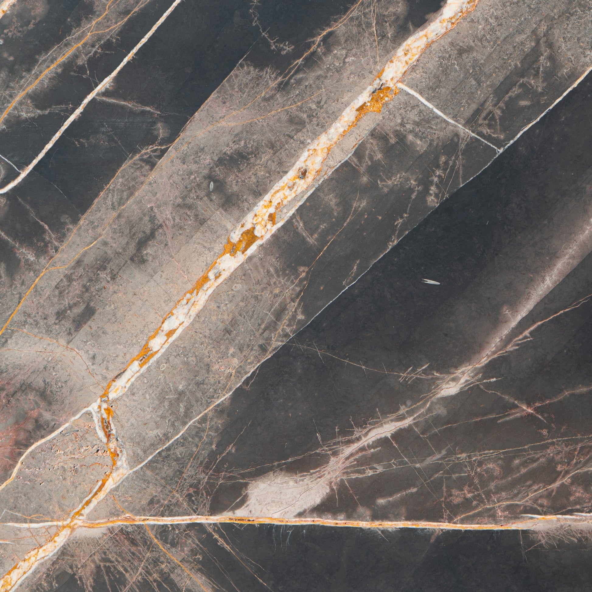 Bronze Fantasy Honed Slab - Cemento Collection