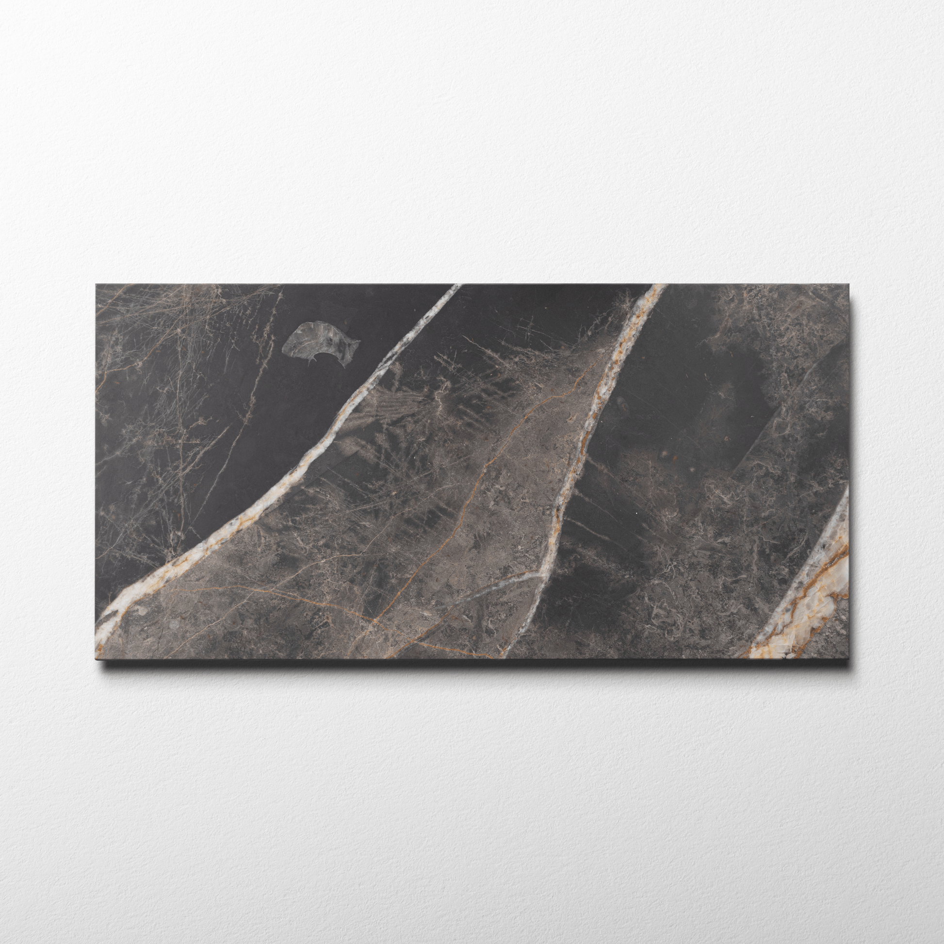 Bronze Fantasy Marble 12x24 Honed Field Tile - Cemento Collection