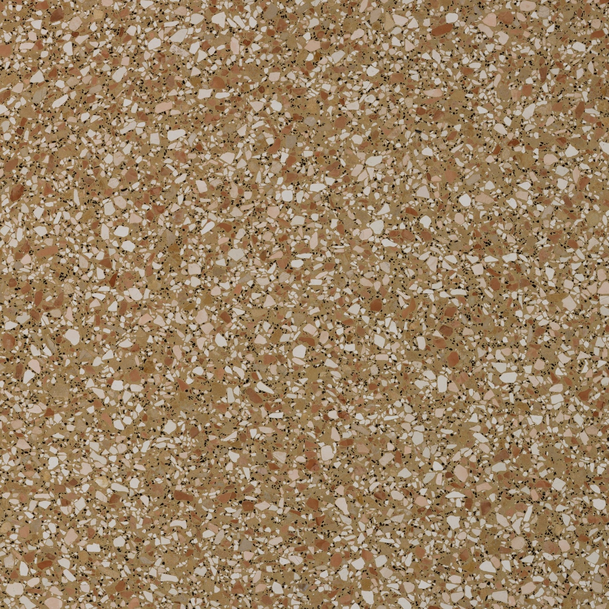 Budelli Cognac Terrazzo - Slab - Cemento Collection