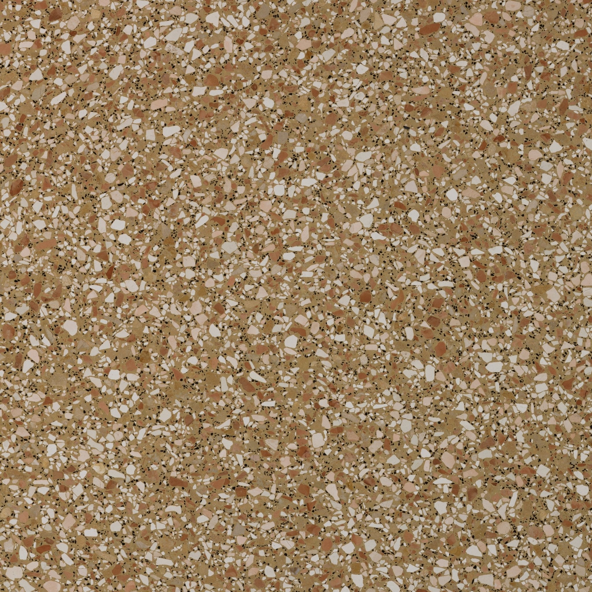 Budelli Cognac Terrazzo - Slab - Cemento Collection