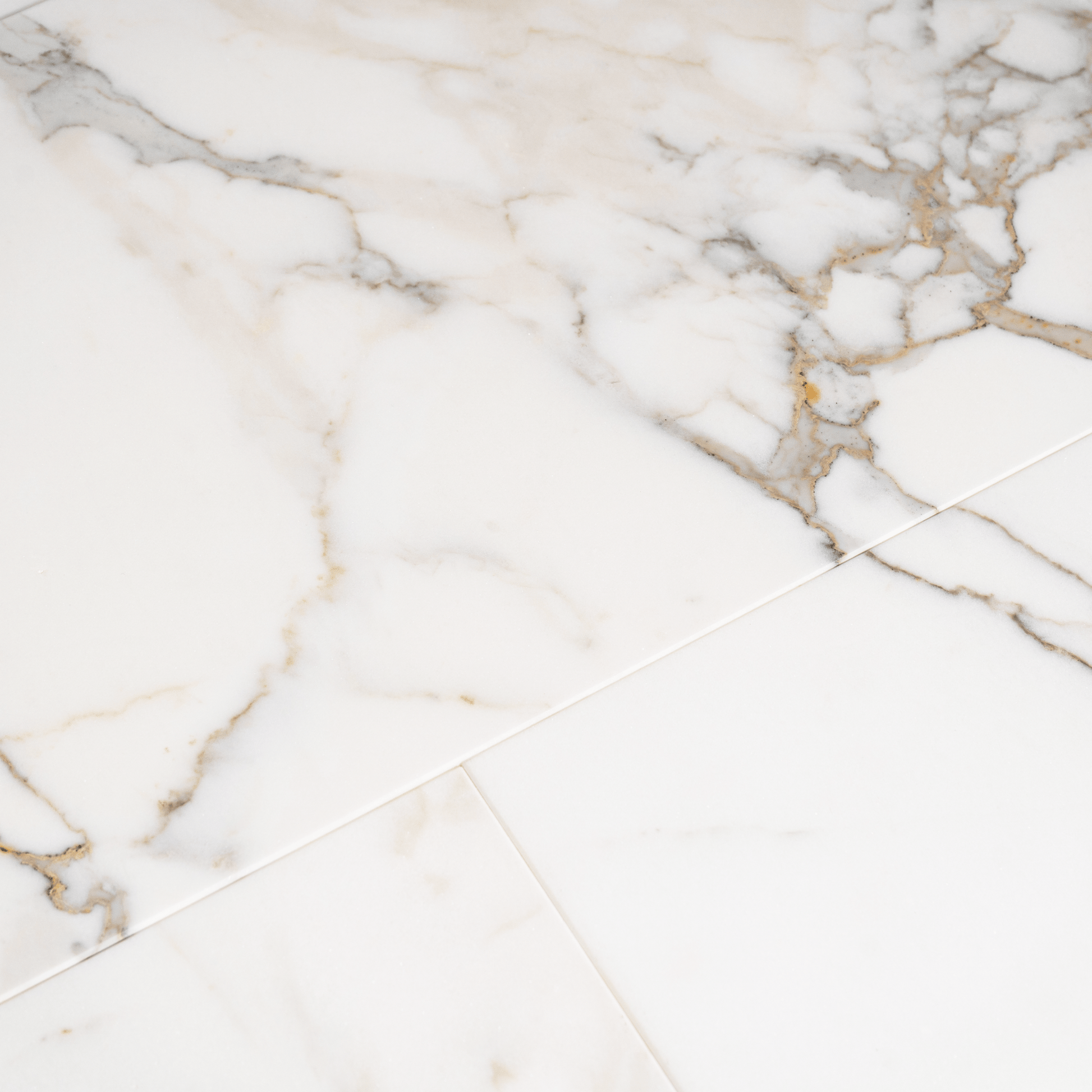 Calacatta Gold 12x24 Polished Tile - Cemento Collection