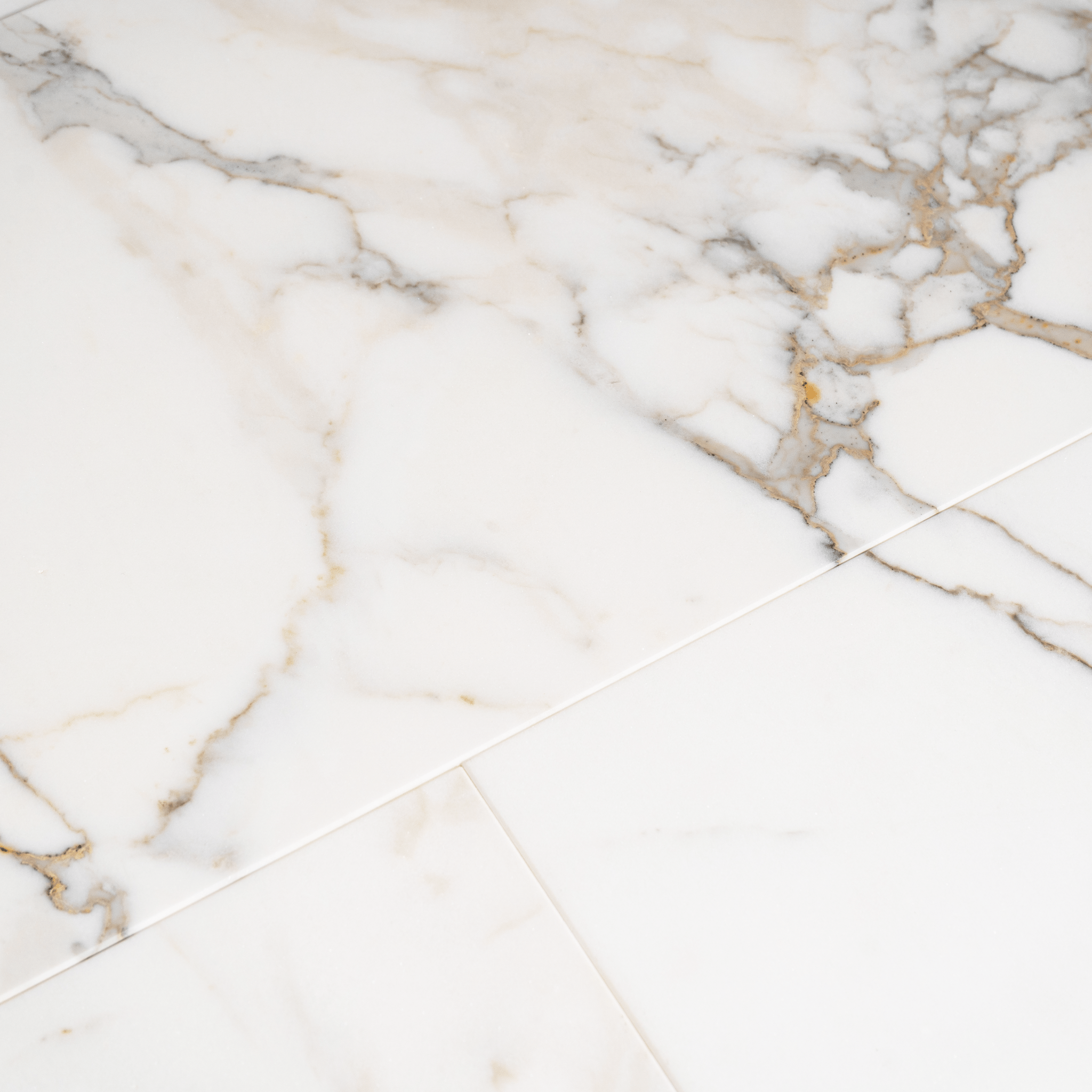 Calacatta Gold 12x24 Polished Tile - Cemento Collection