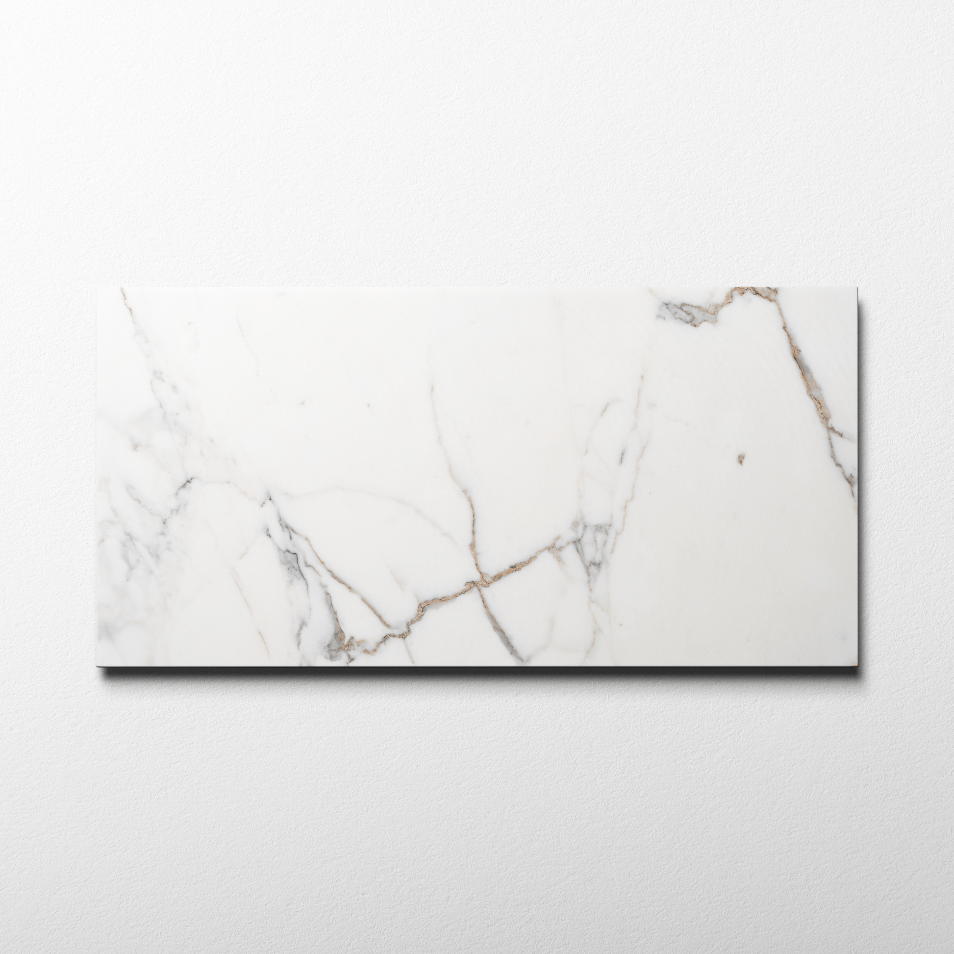 Calacatta Gold 12x24 Polished Tile - Cemento Collection