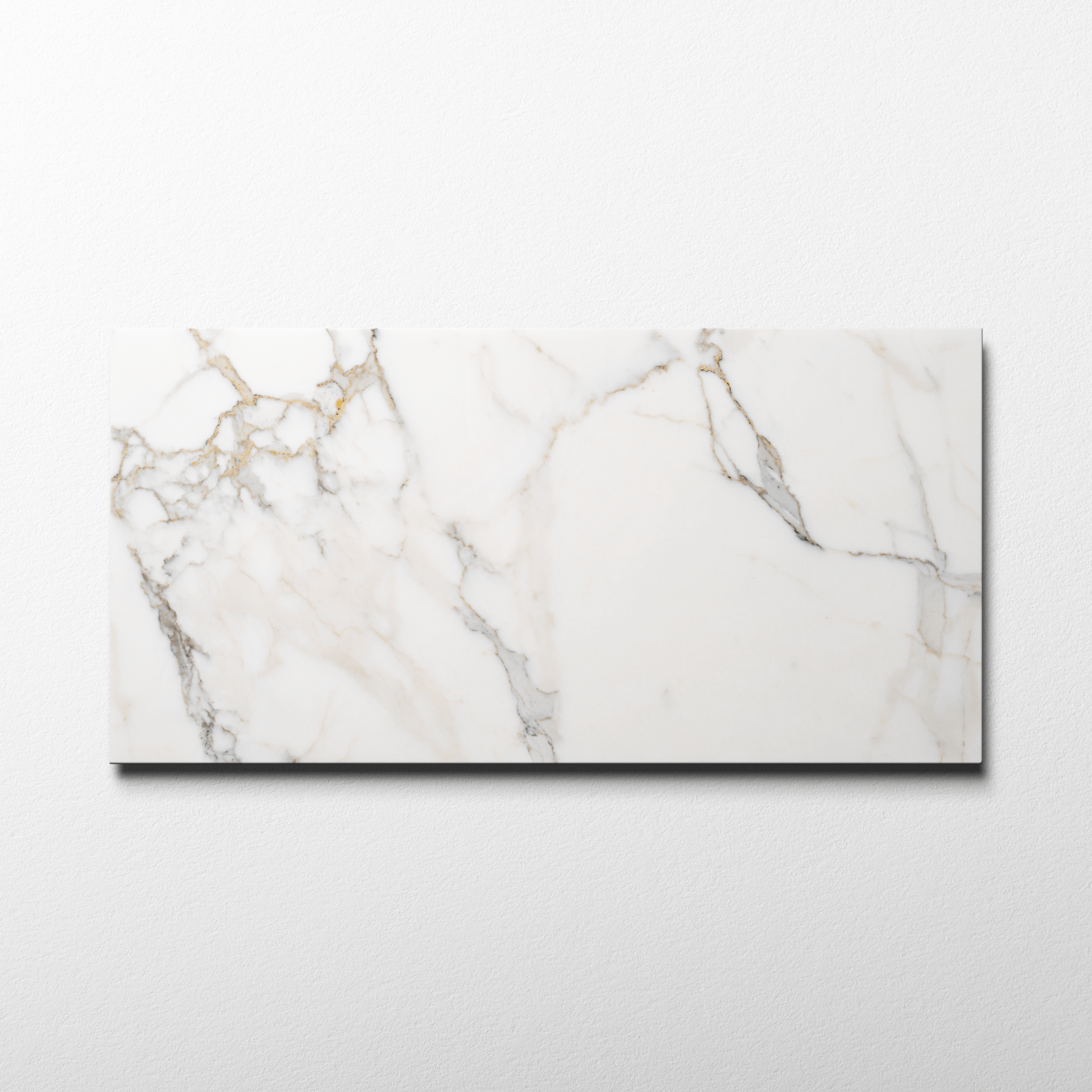 Calacatta Gold 12x24 Polished Tile - Cemento Collection