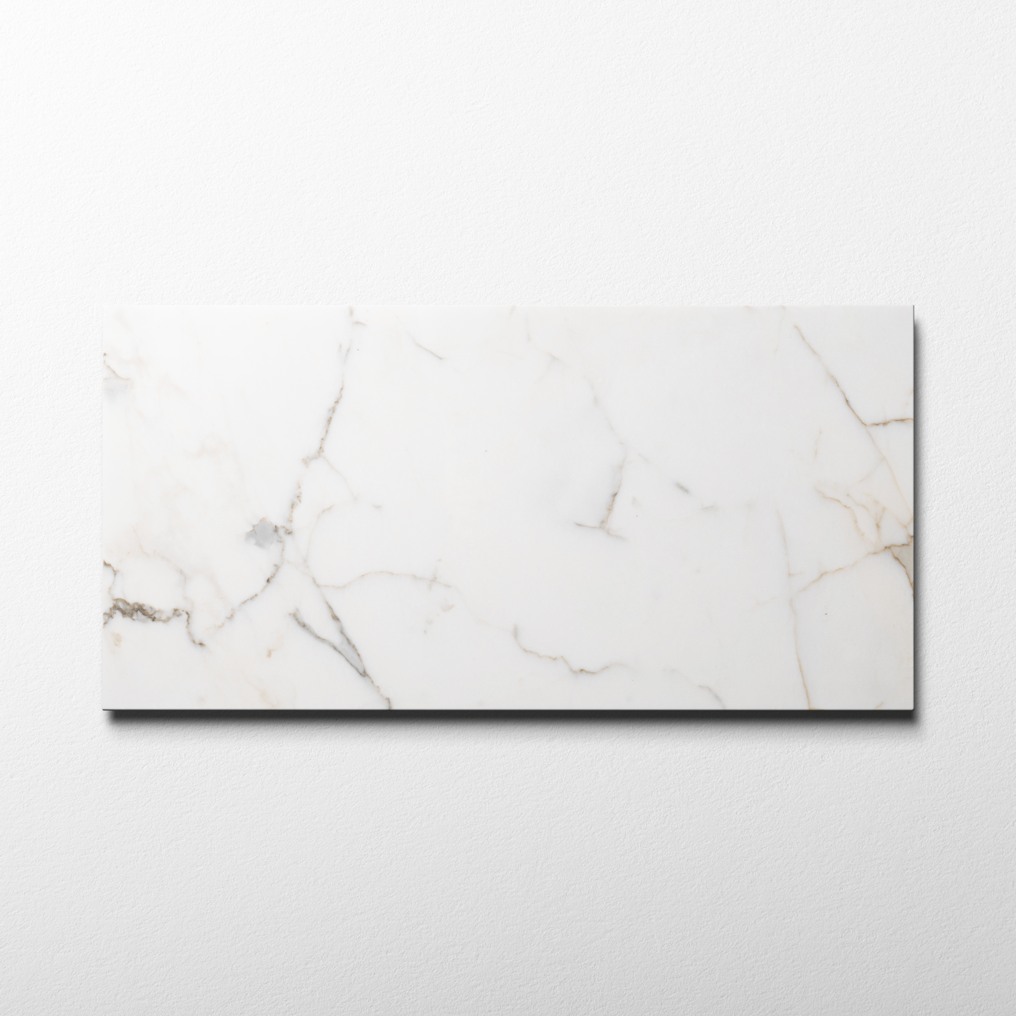 Calacatta Gold 12x24 Polished Tile - Cemento Collection