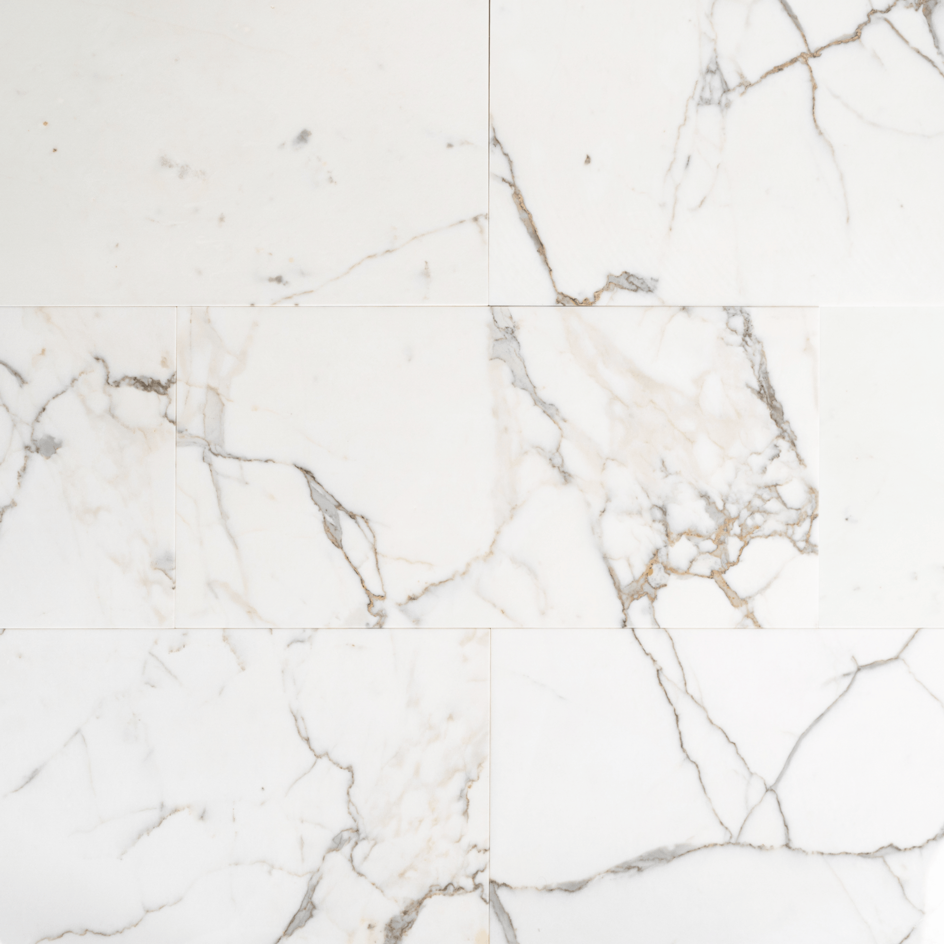 Calacatta Gold 12x24 Polished Tile - Cemento Collection