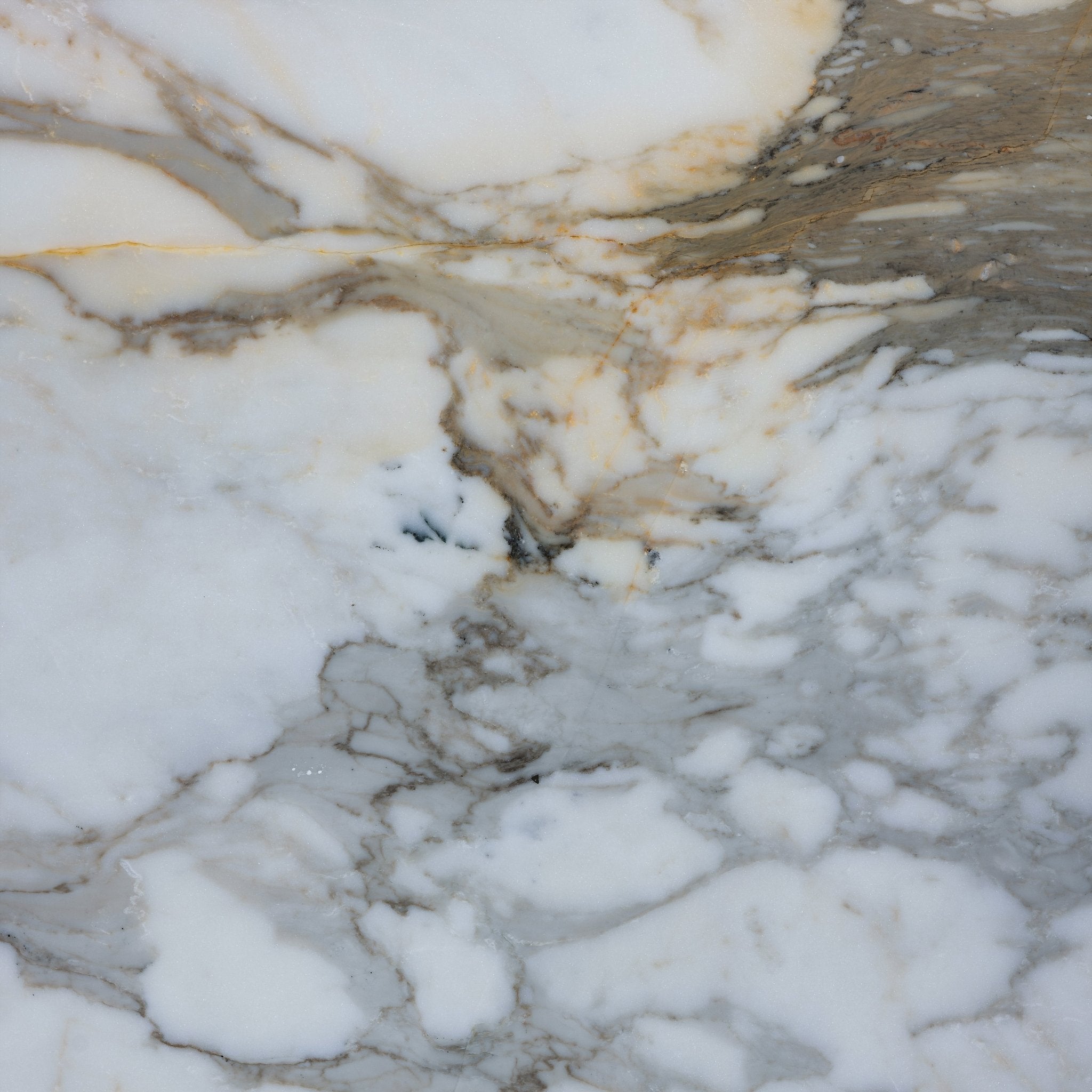 Calacatta Gold Marble Honed Slab - Cemento Collection