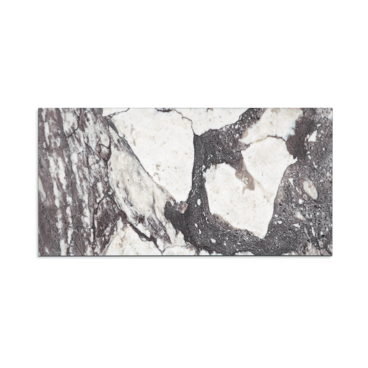 Calacatta Viola Marble 12x24 Honed Field Tile | Cemento Collection ...