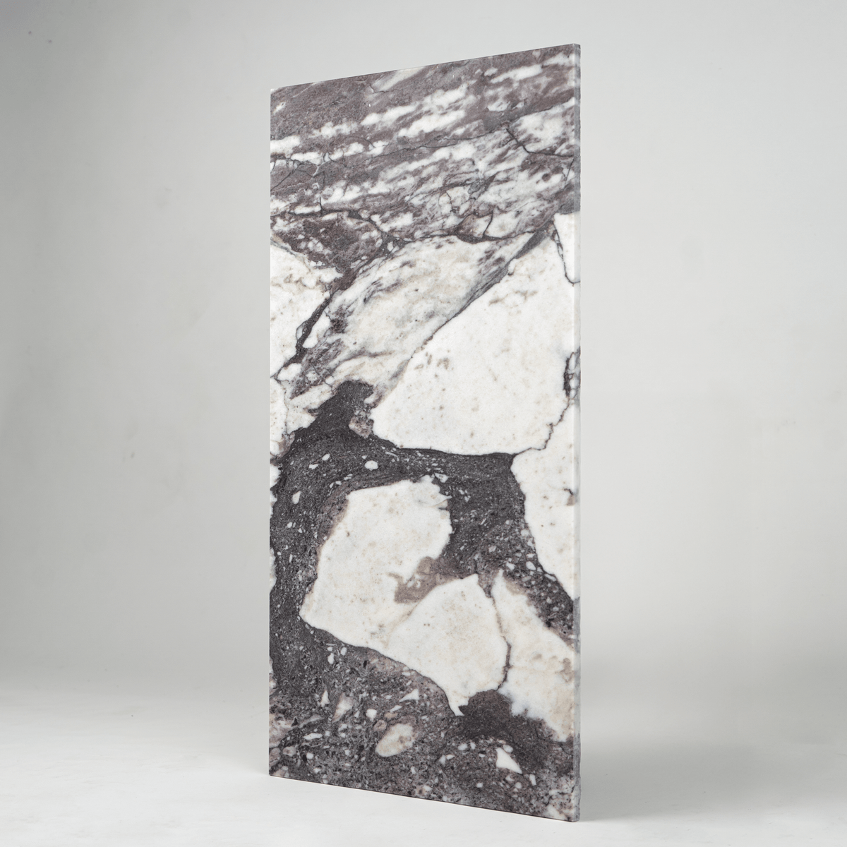 Calacatta Viola Marble 12x24 Honed Field Tile | Cemento Collection