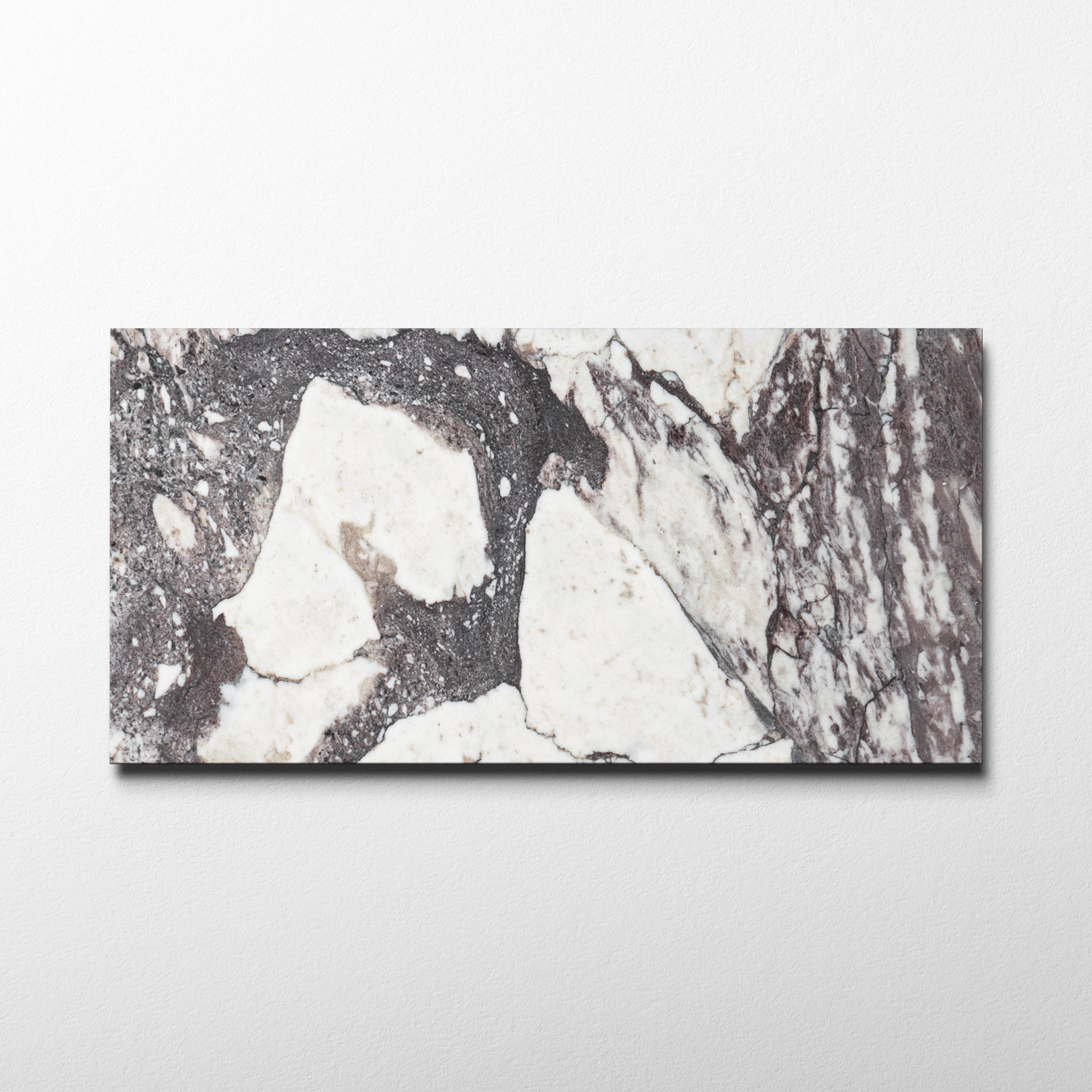 Calacatta Viola Marble 12x24 Honed Field Tile - Cemento Collection