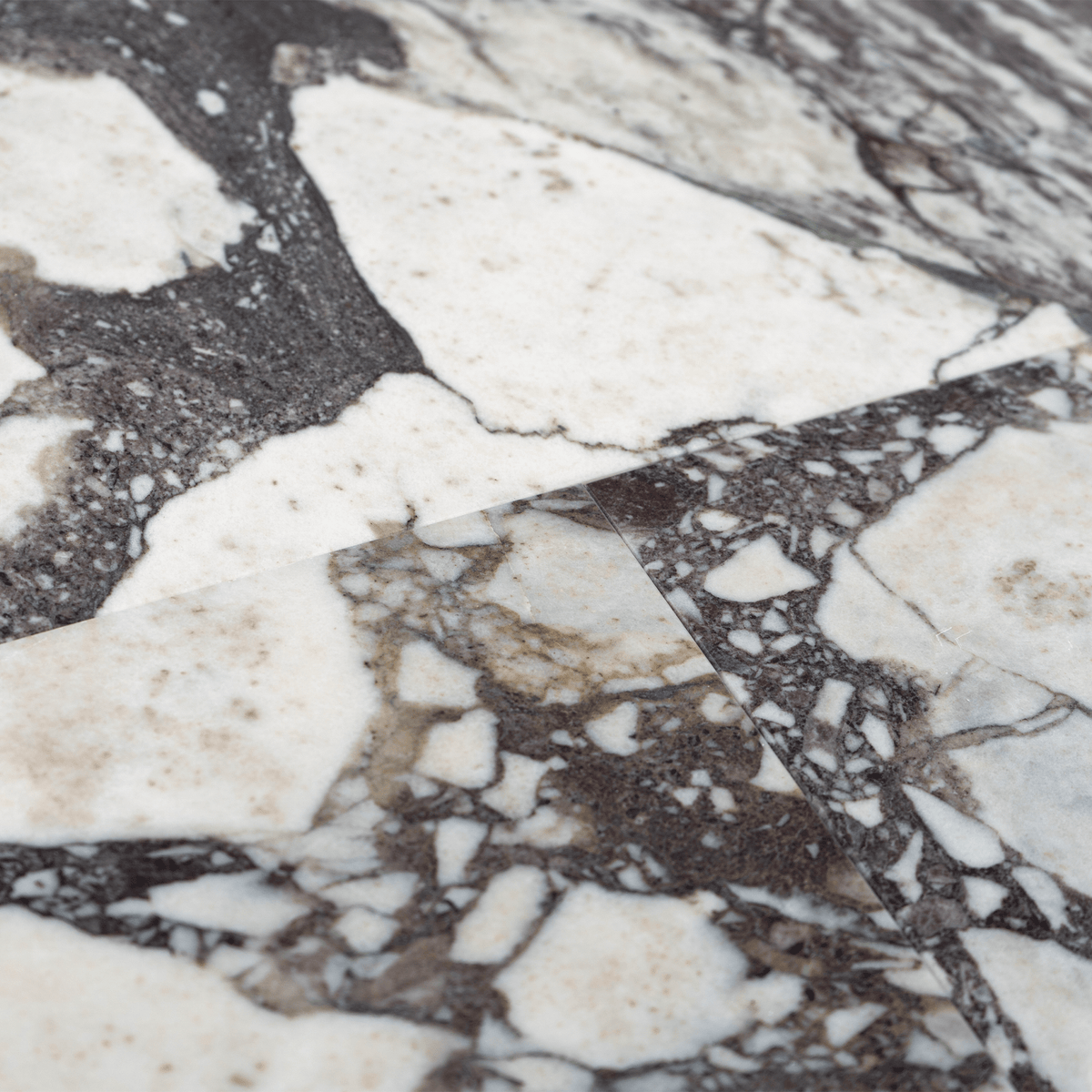 Calacatta Viola Marble 12x24 Honed Field Tile | Cemento Collection