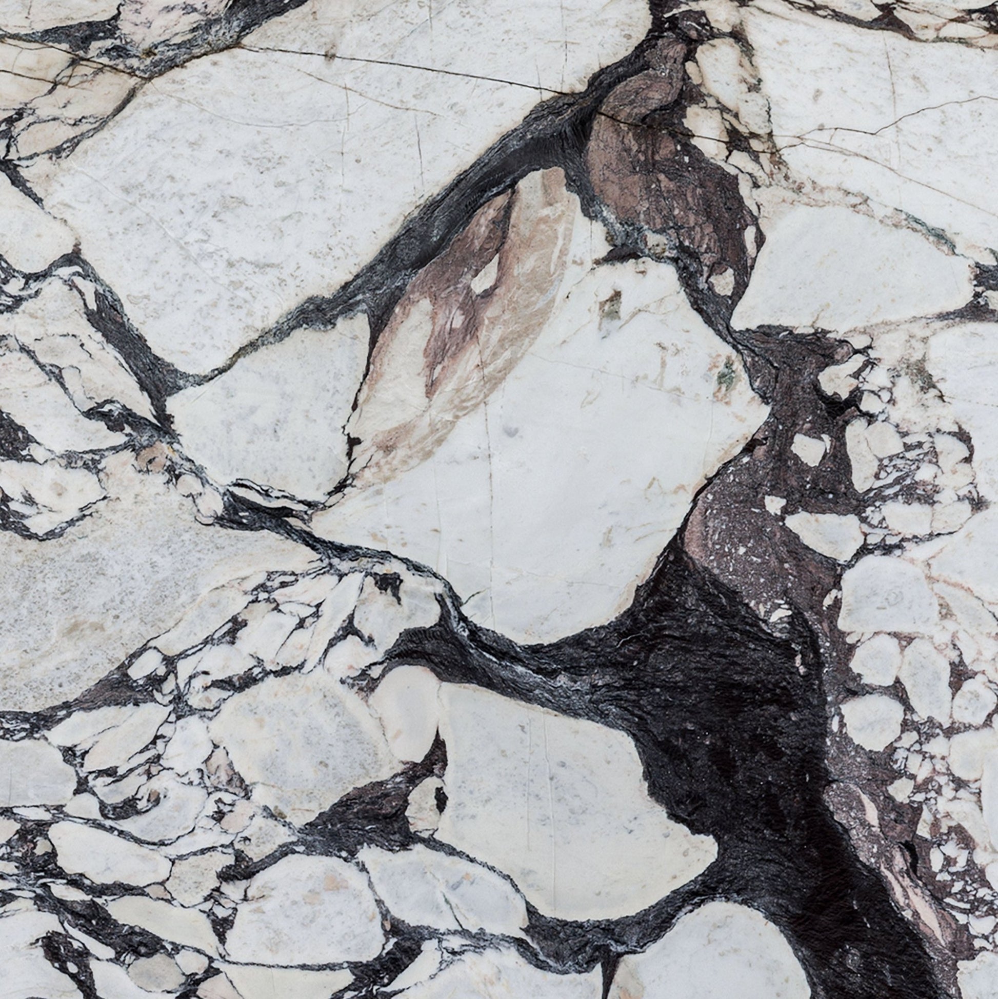 Calacatta Viola Marble Honed Slab