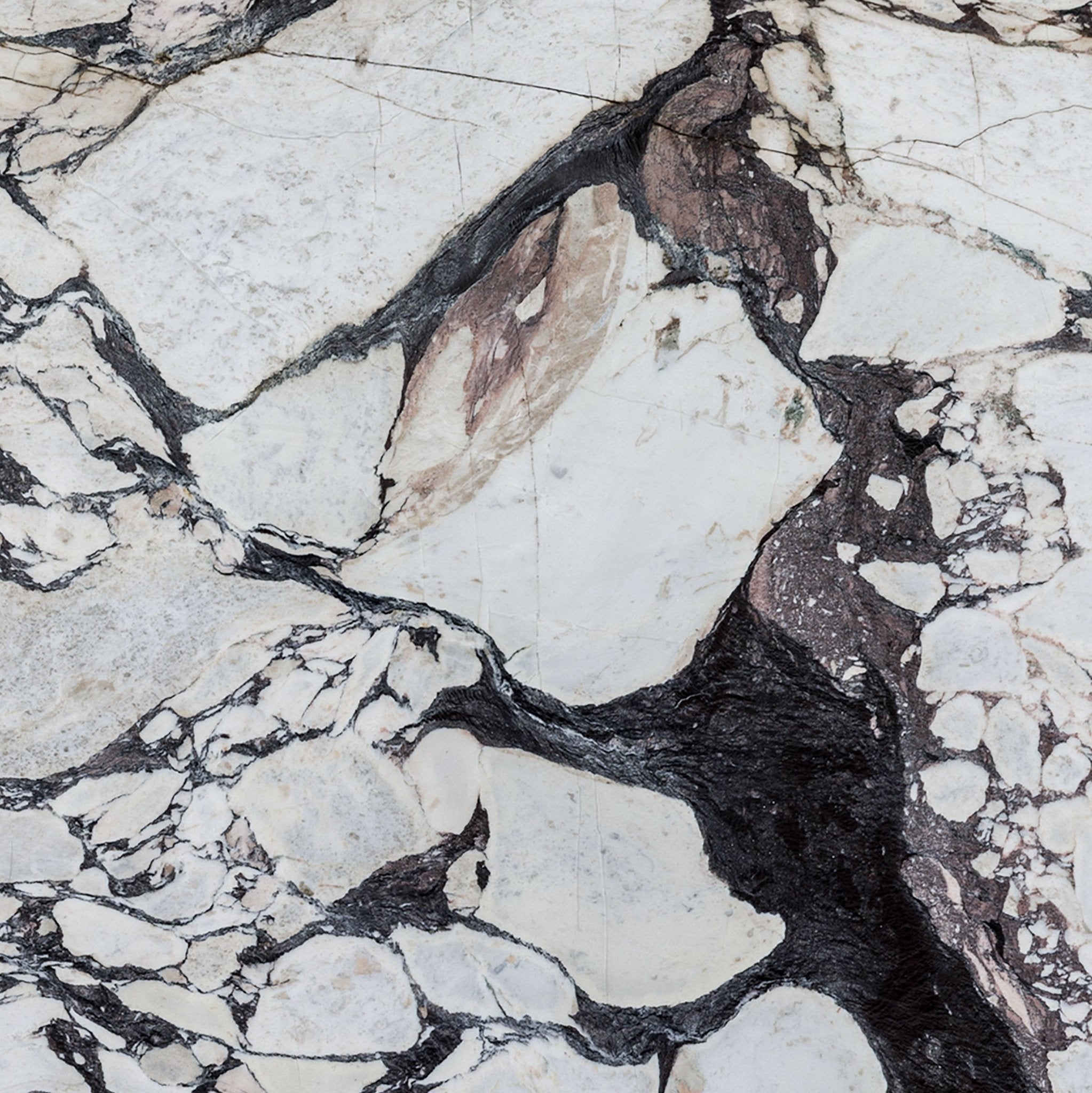 Calacatta Viola Marble Honed Slab