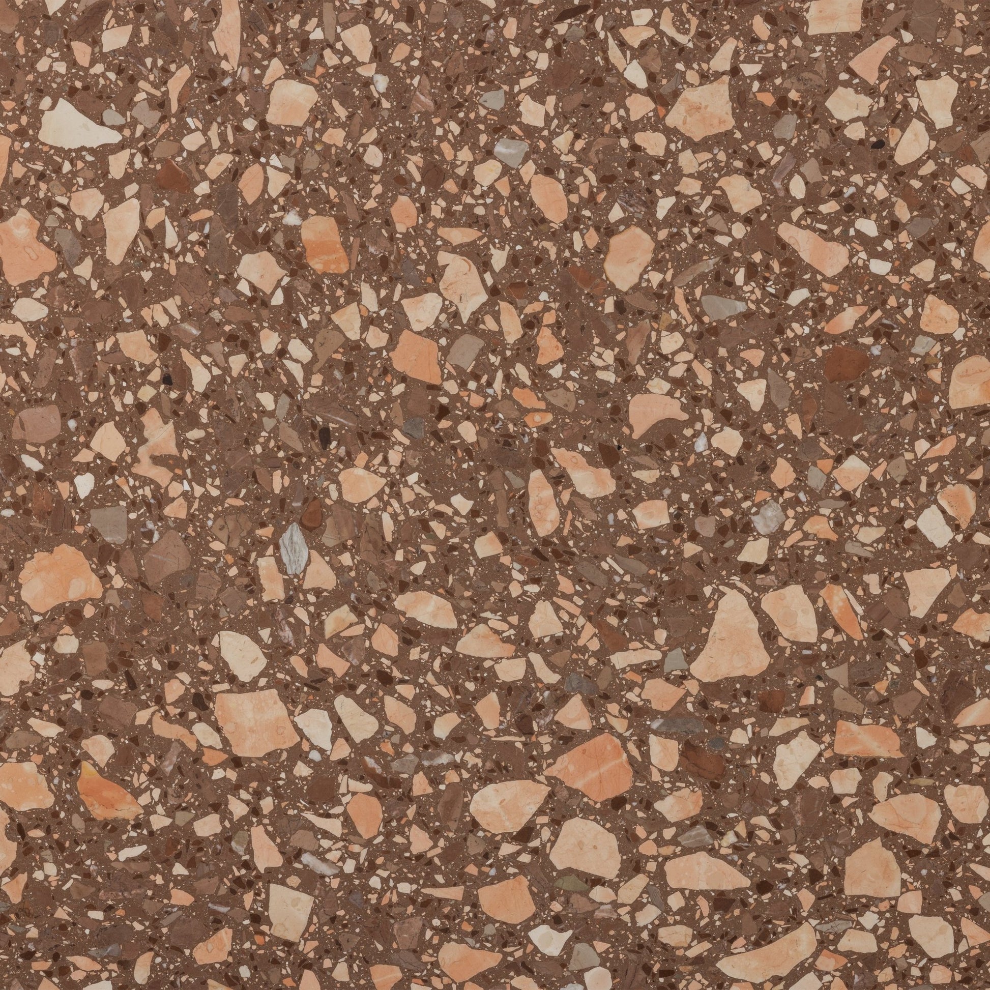 Campionna Salmon Terrazzo - Slab - Cemento Collection