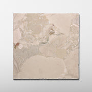 Ceppo di Sicily Marble 12x12 Patina Tile - Cemento Collection