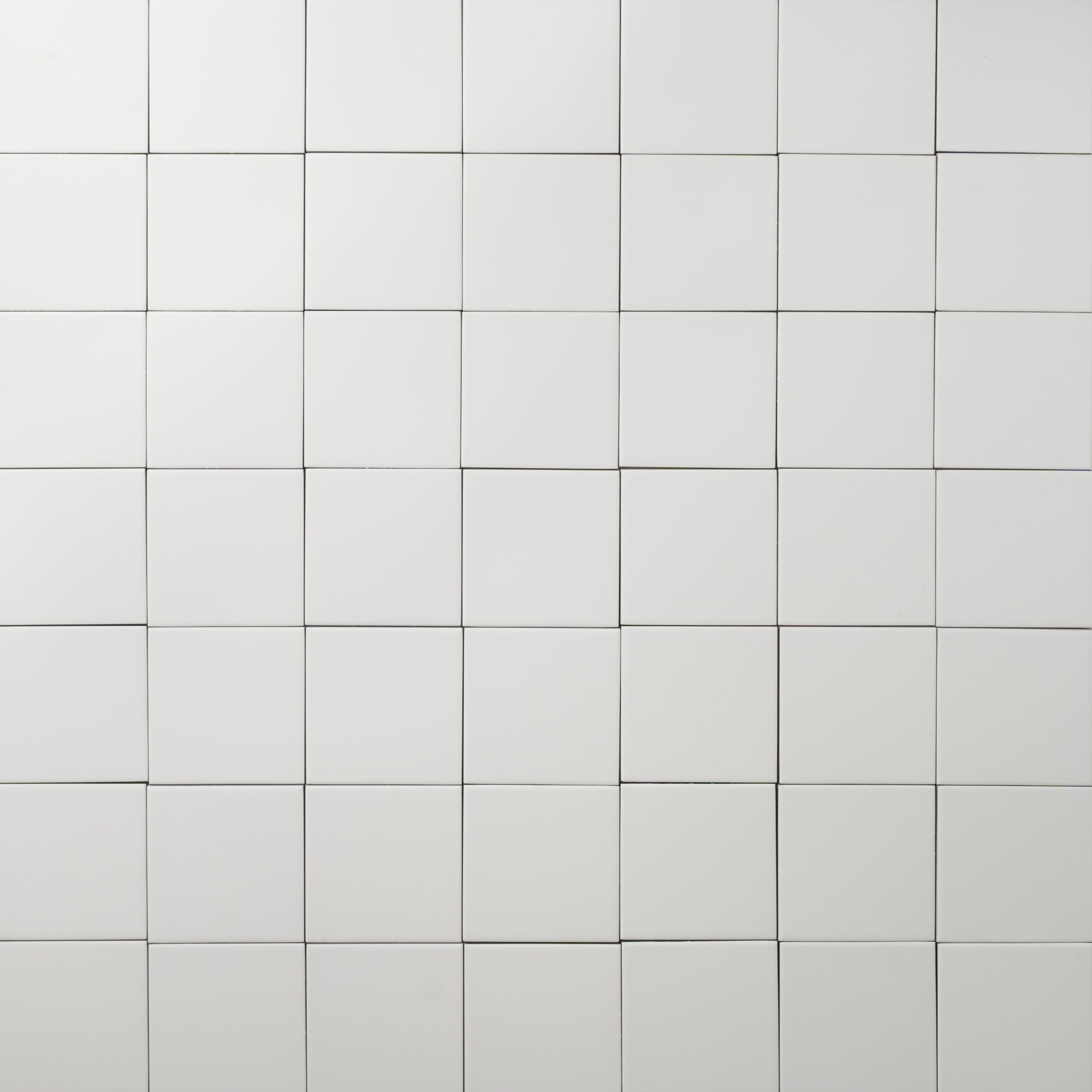 Shell White  Porcelain Tile