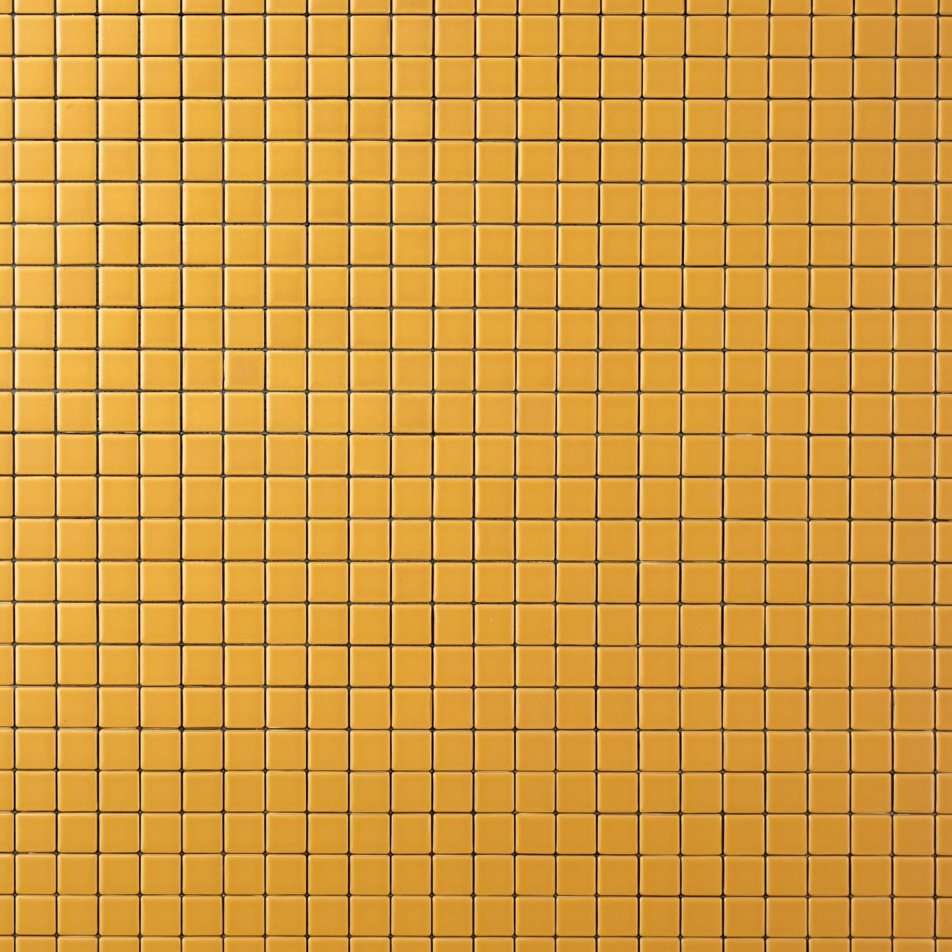Chroma Grid | Dijon Yellow 1x1" Square Matte Mosaic Tile - Cemento Collection